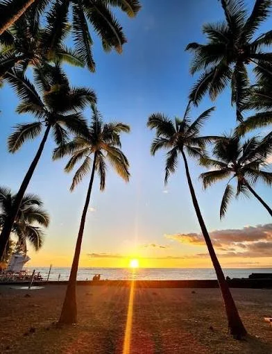 Sunset over a beach with palm trees in the foreground.