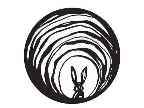 Down the diagnostic rabbit hole