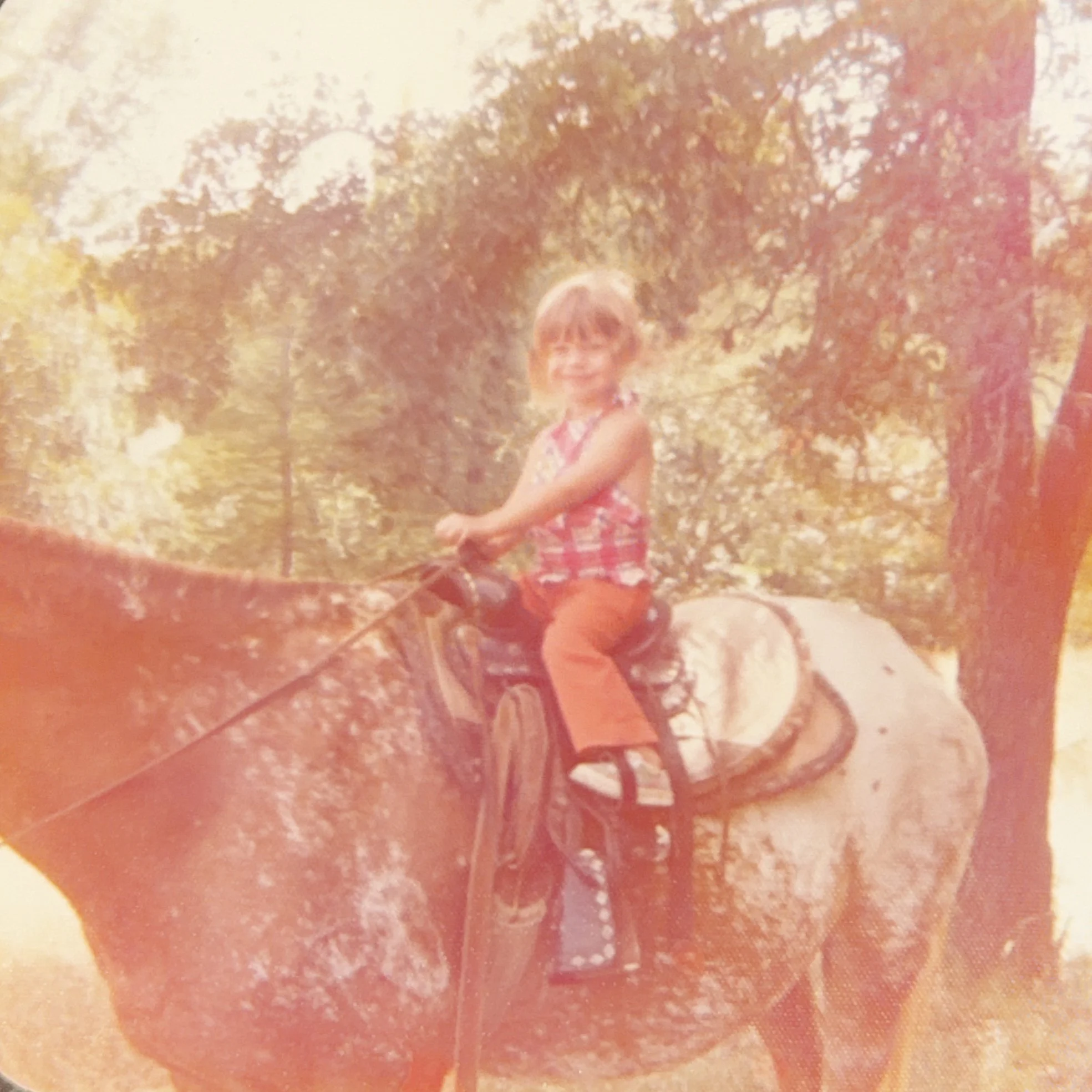 amy_PV_horse.jpg