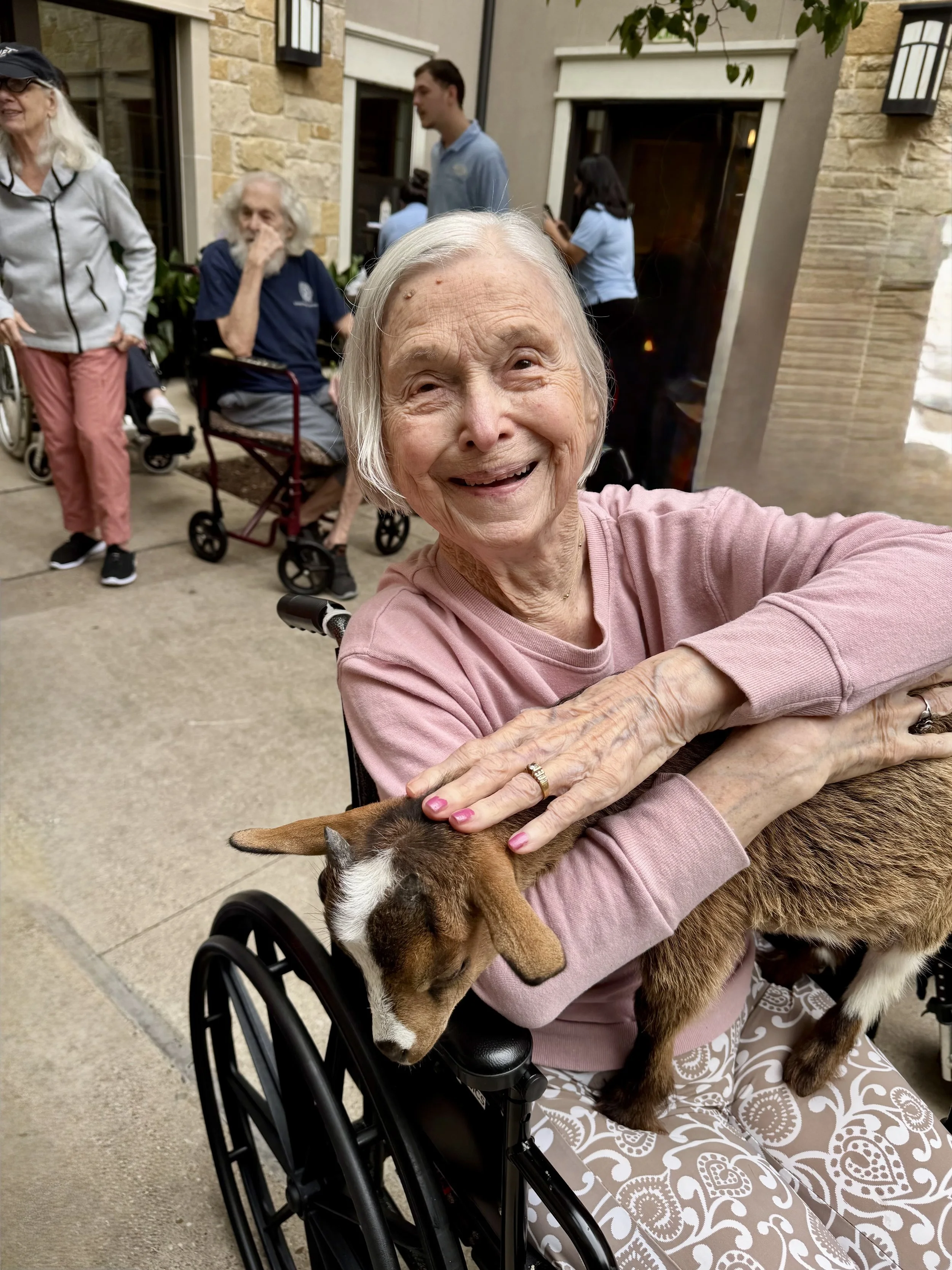 mom_goat.jpg