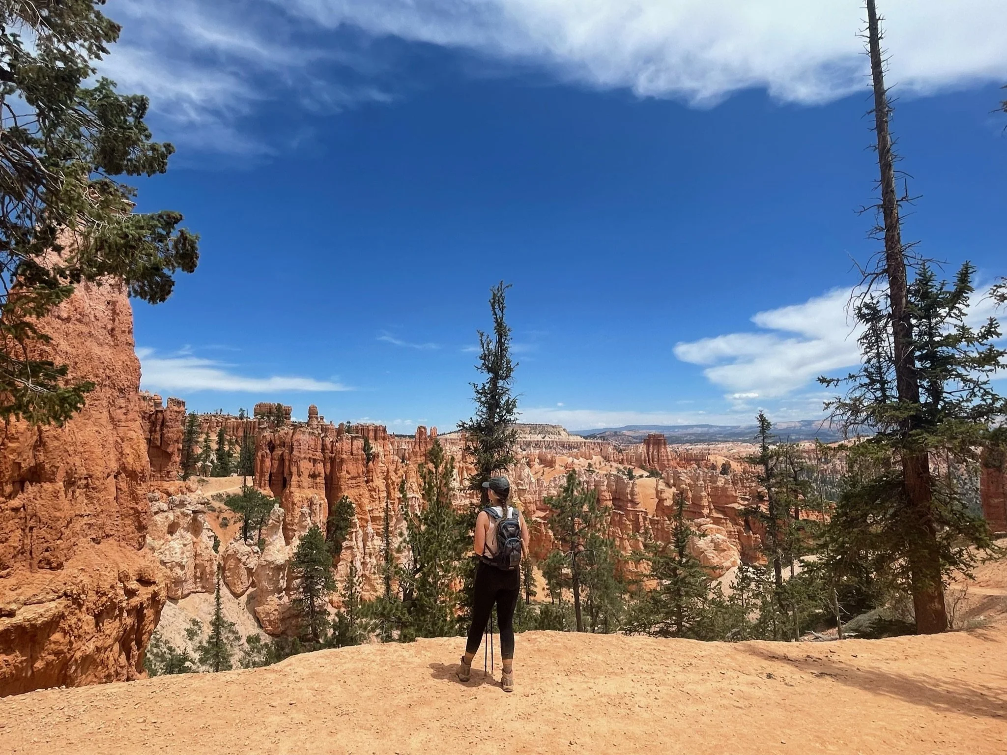 Halie Tenor, Founder & Guide of nested kin, hiking in wilderness