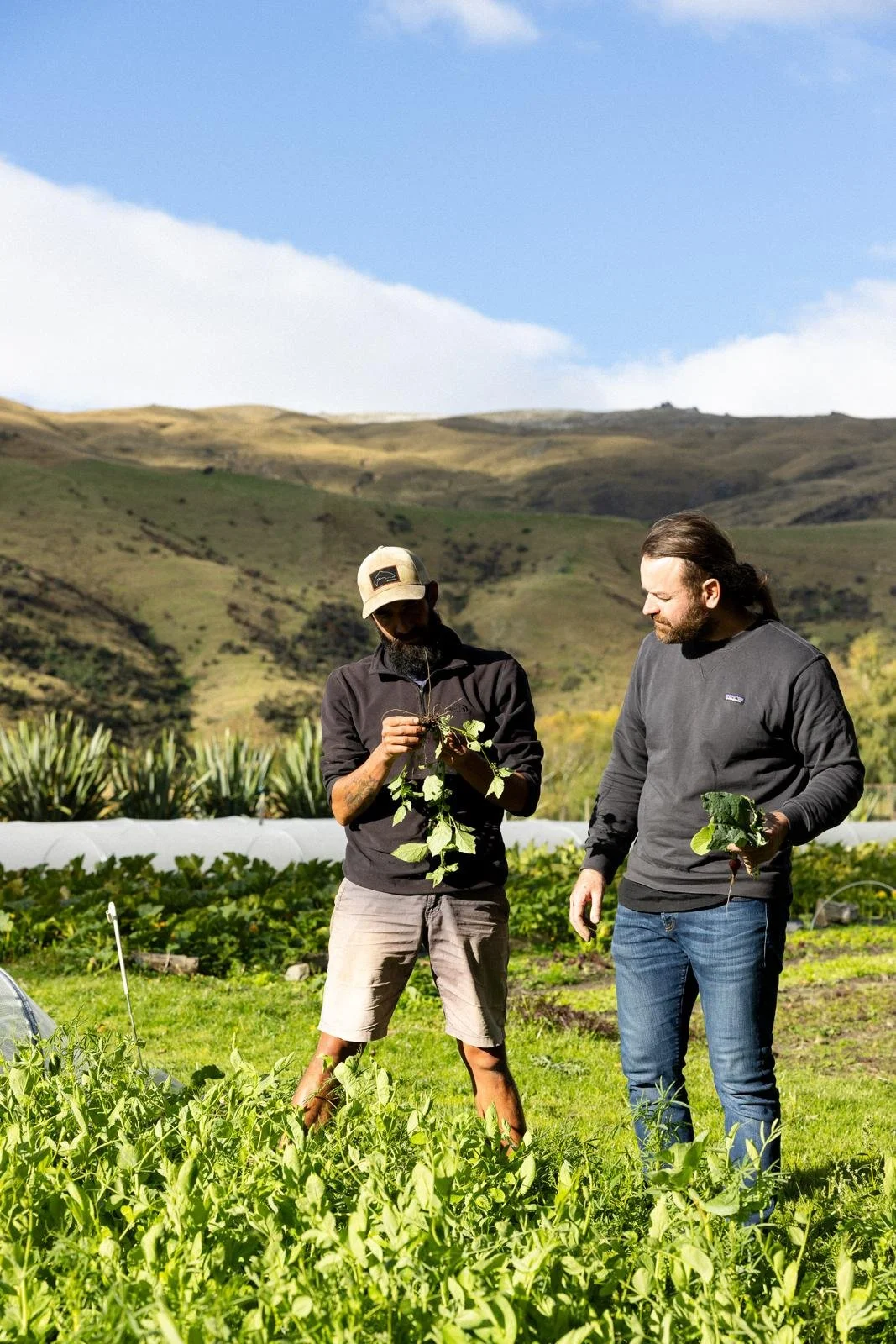 Central Otago Apricot Dessert | Head Chef Friedrich "Fritz" Beloussow | Rātā Queenstown