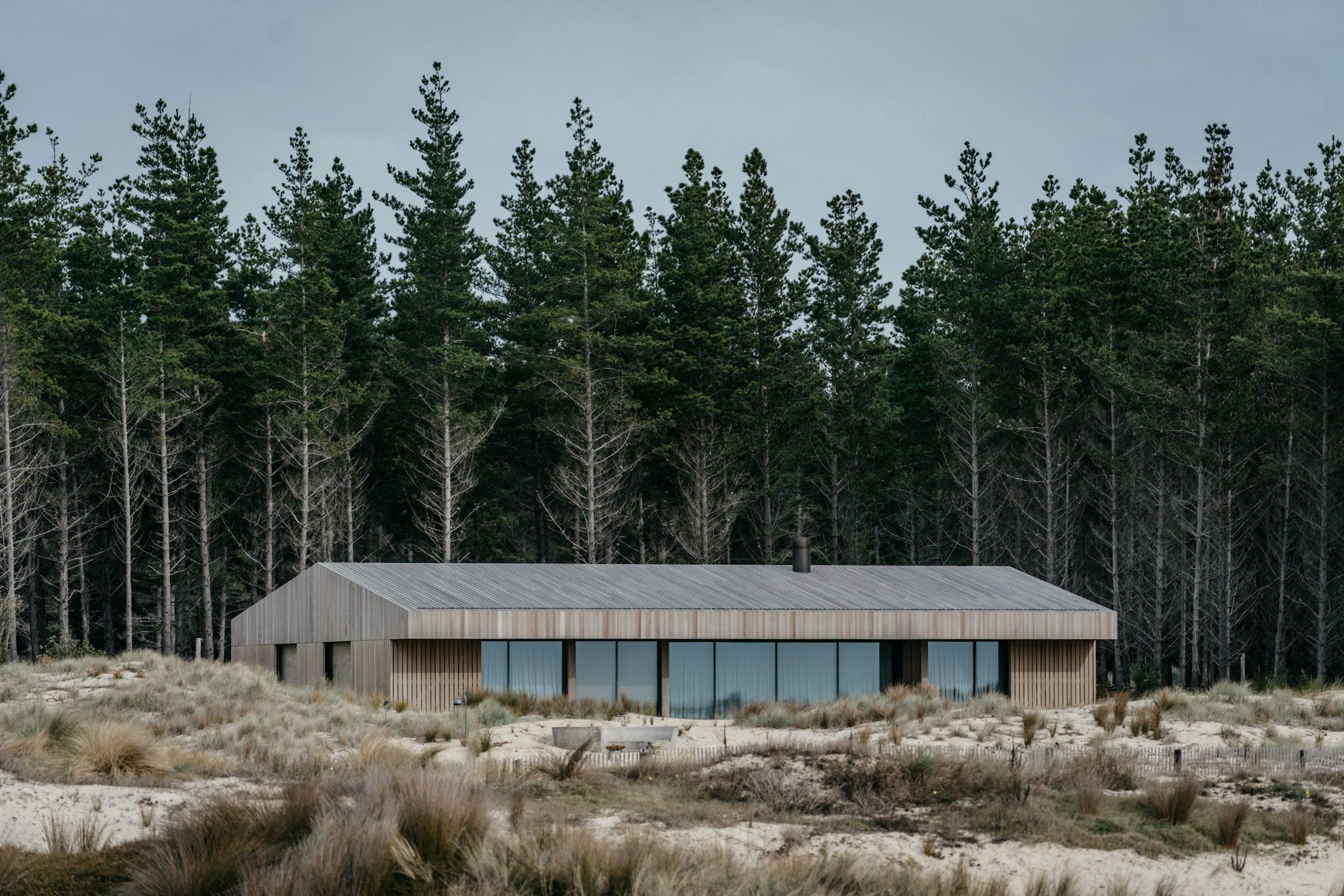 Modern building with a sloped metal roof and large glass windows, situated in a natural landscape with dry grass and a backdrop of dense pine trees and an overcast sky.