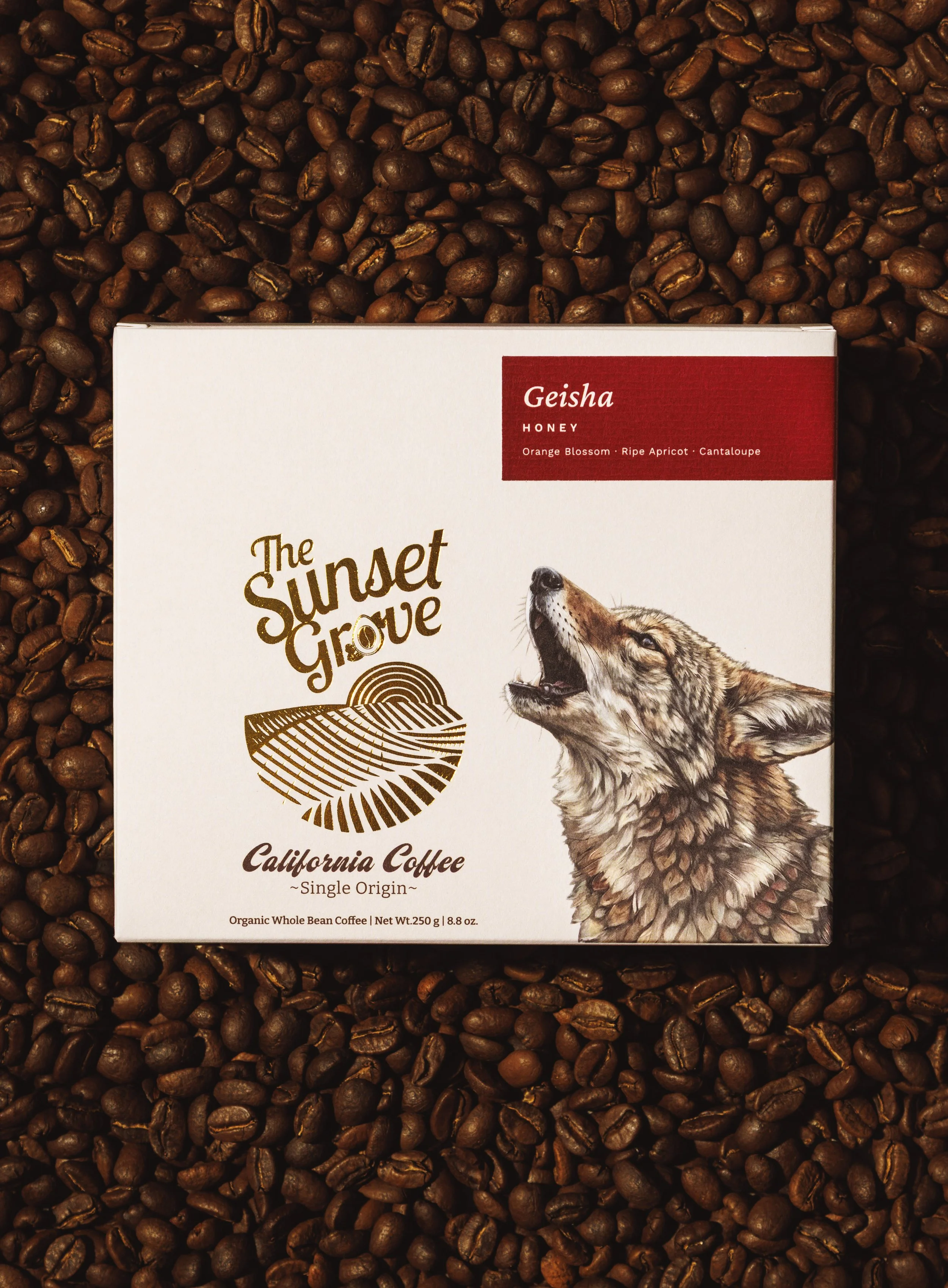 Commercial product photo of California coffee box on top of coffee beans.