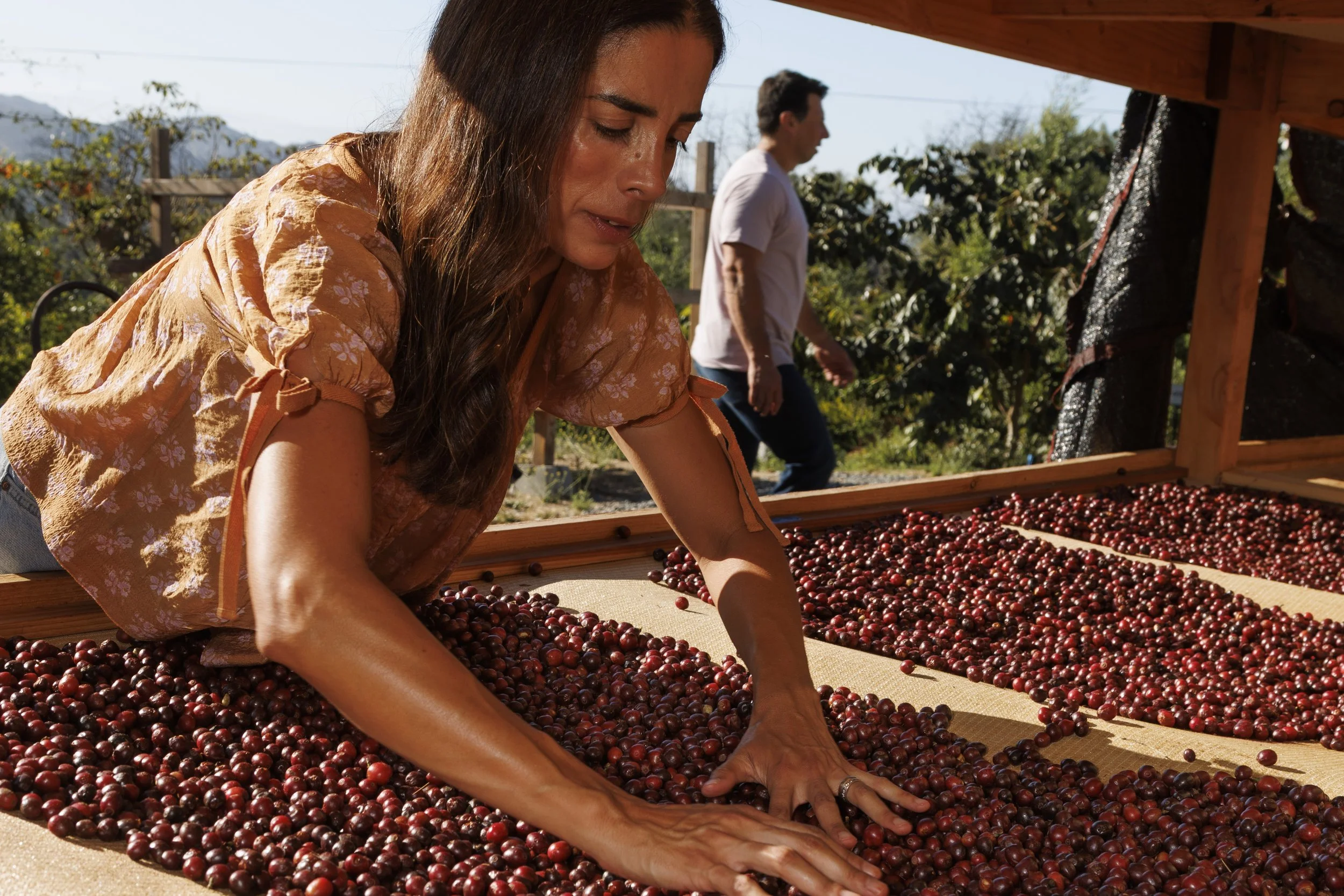 Commercial lifestyle photo of a woman drying coffee cherries outdoors in San Diego for an advertising campaign.