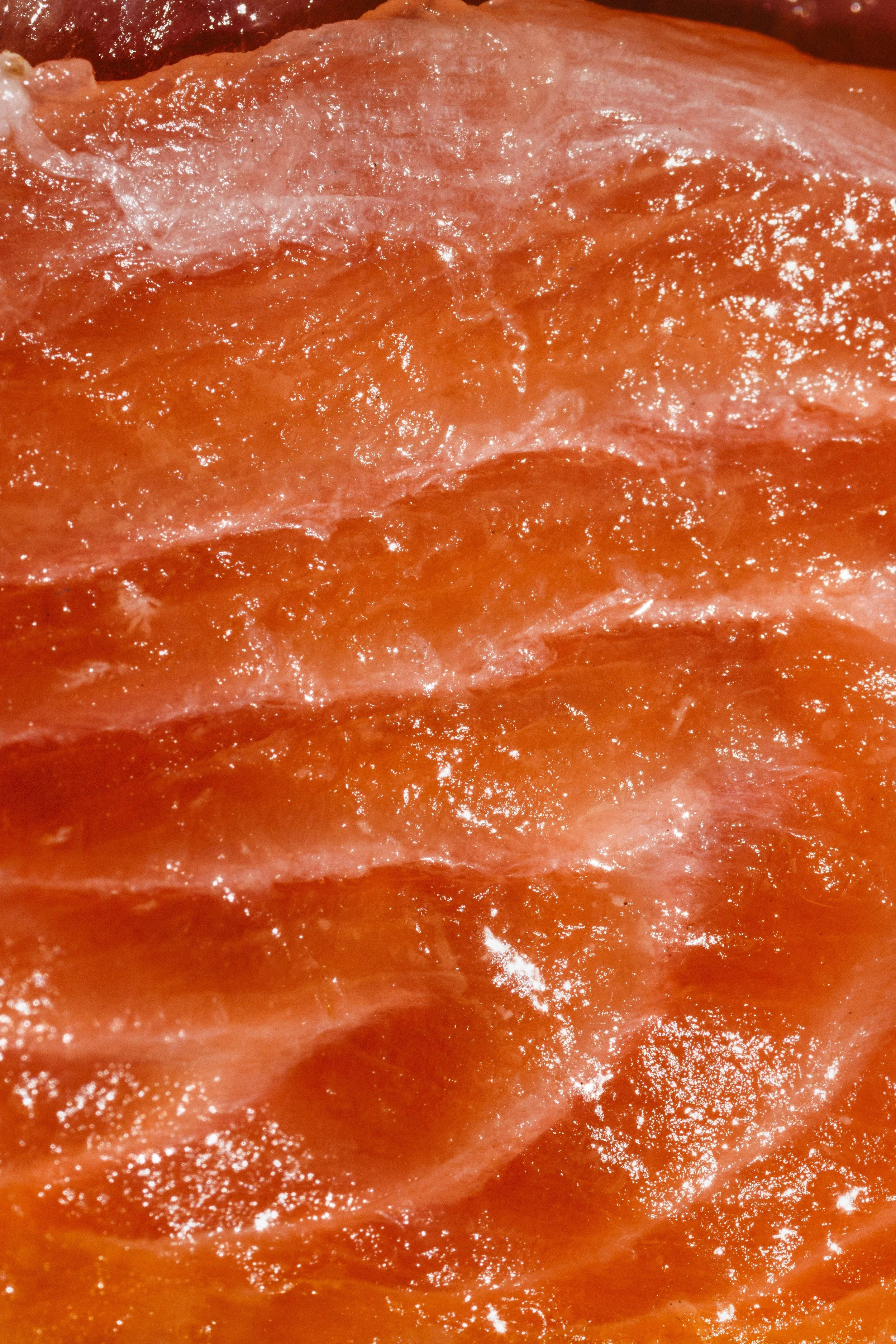 Commercial macro food photo of lox salmon sparkling in the sun.