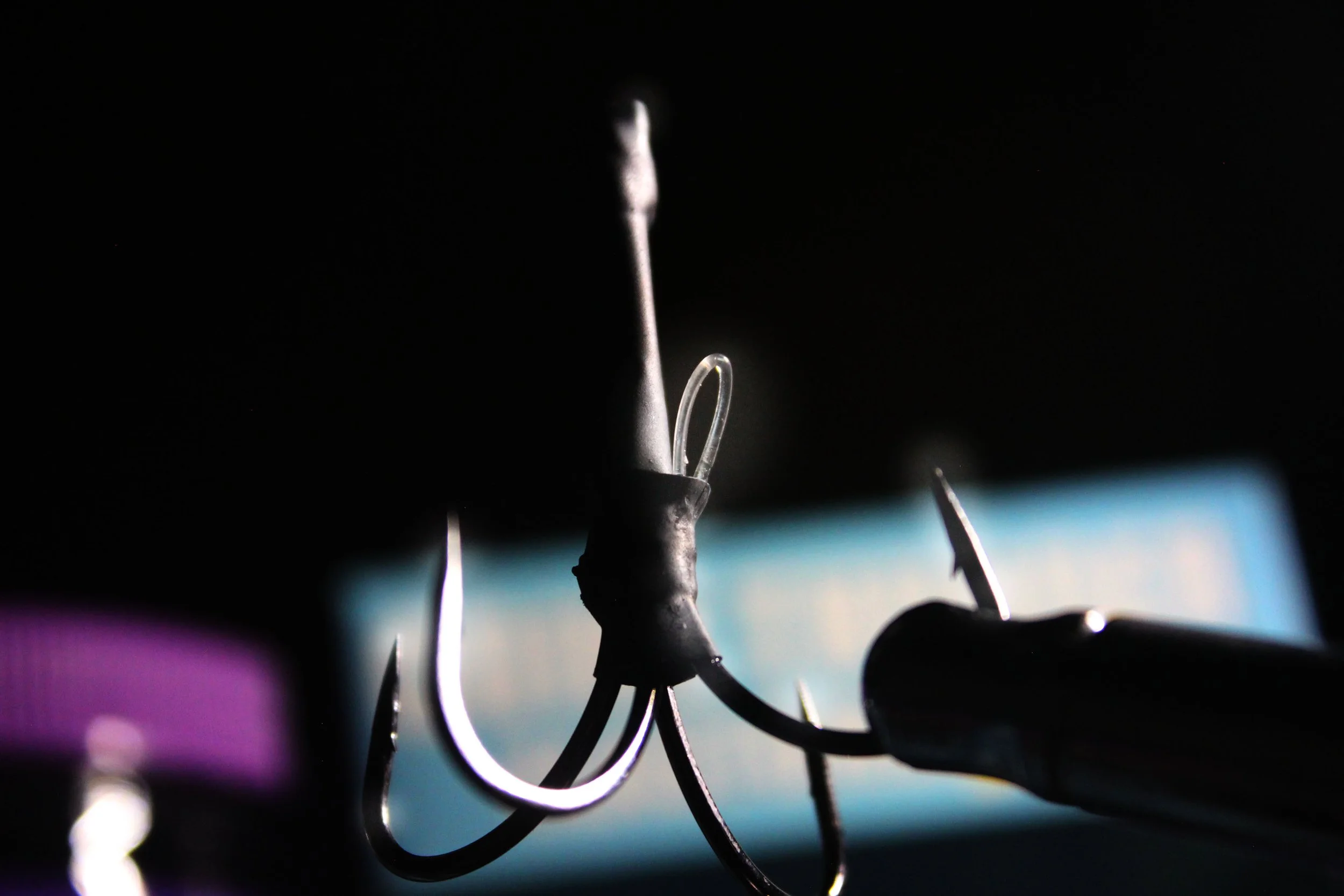 Hook pic.jpg
