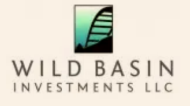 Wild Basin Investments LLC logo with a mountain and staircase graphic