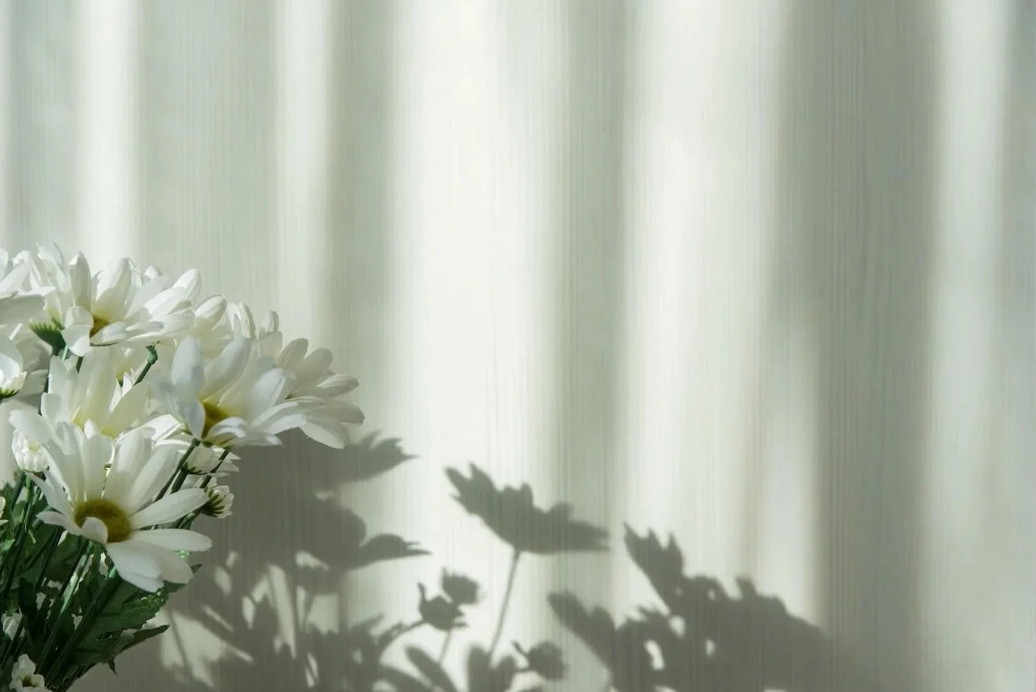 A bouquet of white daisies with yellow centers on the left side, casting shadows on a light-colored, vertically striped background.