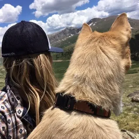A person with long hair, wearing a black and white cap and patterned shirt, looking at a mountain landscape with a large tan dog beside them.