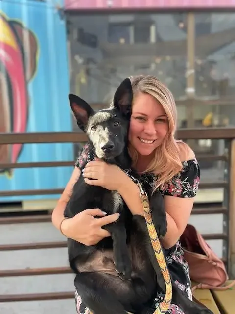 A woman smiling and hugging a black and white dog with heterochromatic eyes, sitting outside on a wooden bench.