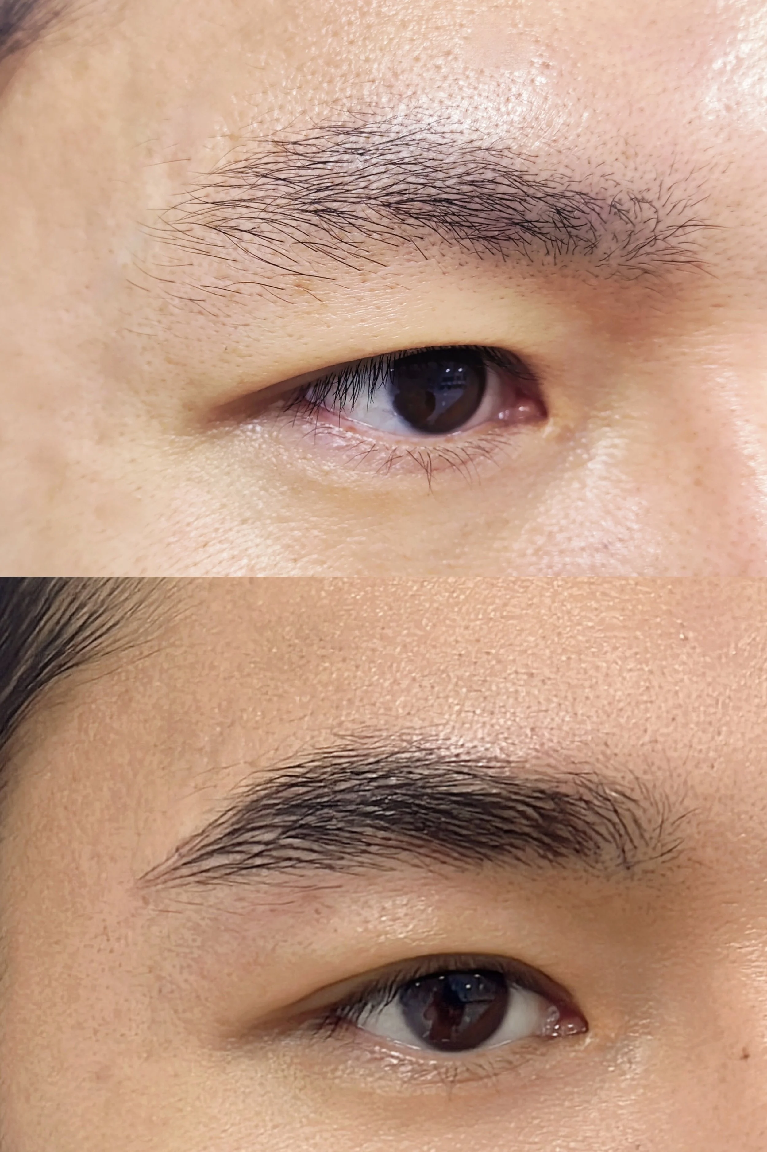 nanshimei2.jpg