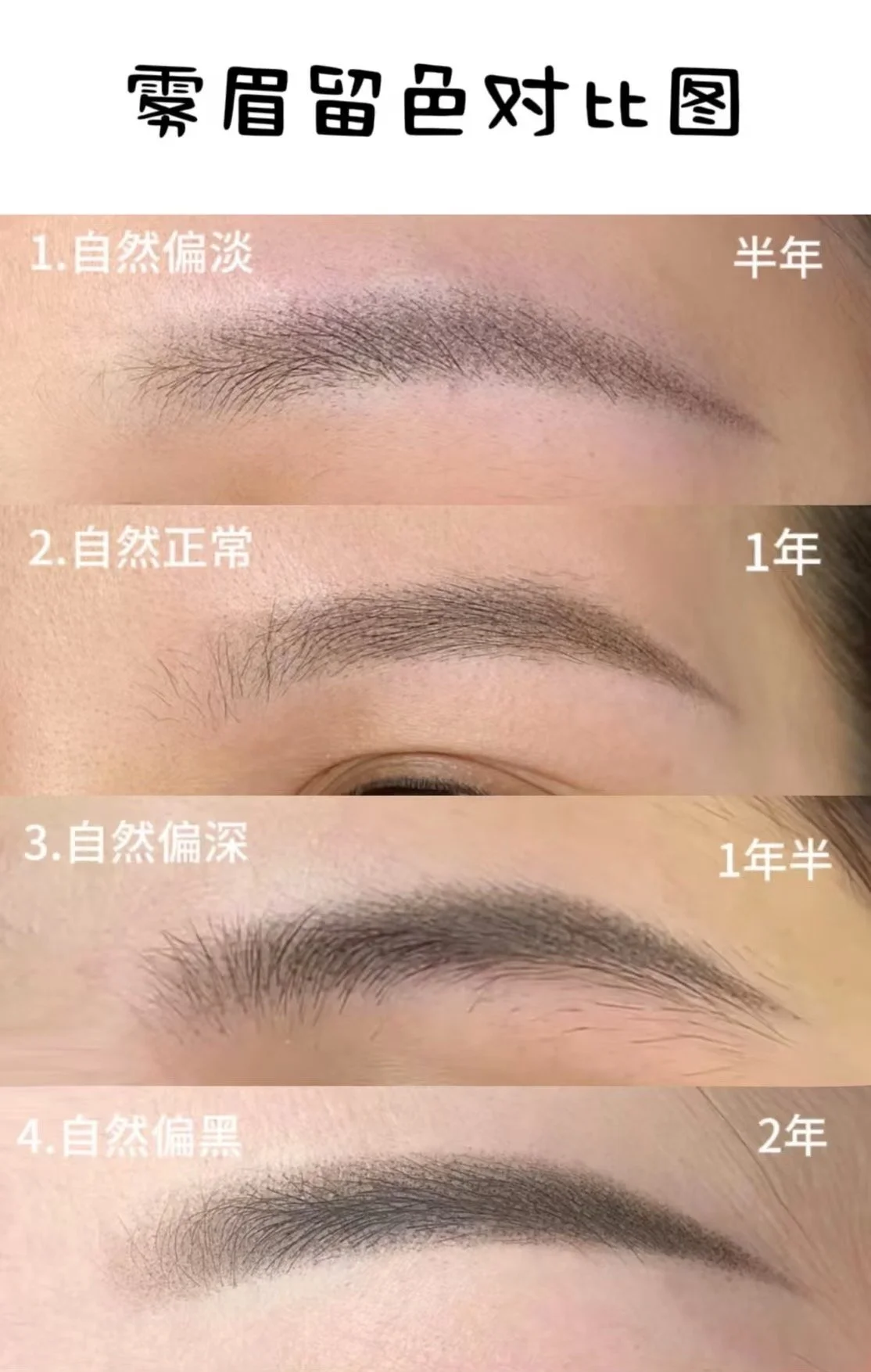 Comparison of eyebrows over time showing different degrees of natural brow color and depth, labeled with time periods of half a year, 1 year, 1.5 years, and 2 years.