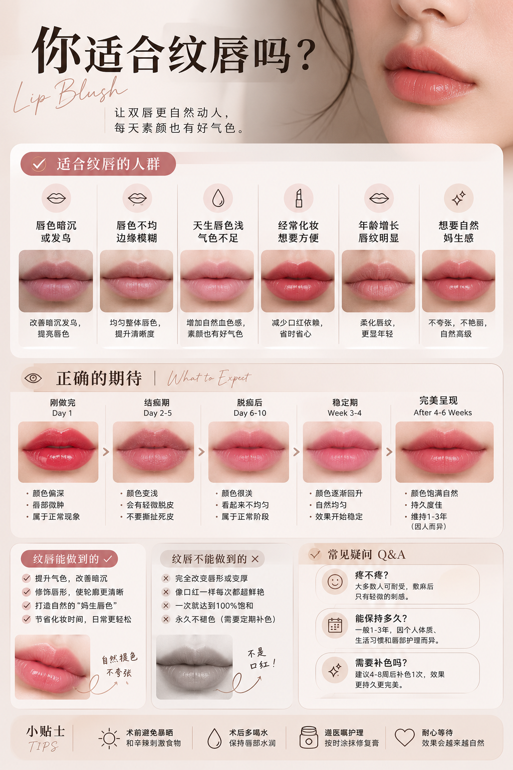 Dark lip correction and lip neutralization guide for uneven or cool-toned lips
