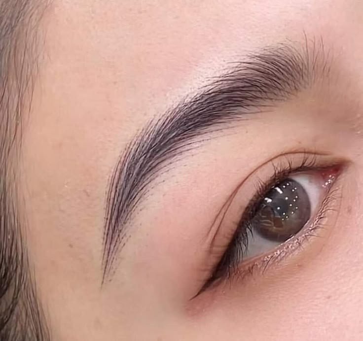 Nano brows with realistic hair strokes for a natural eyebrow look
