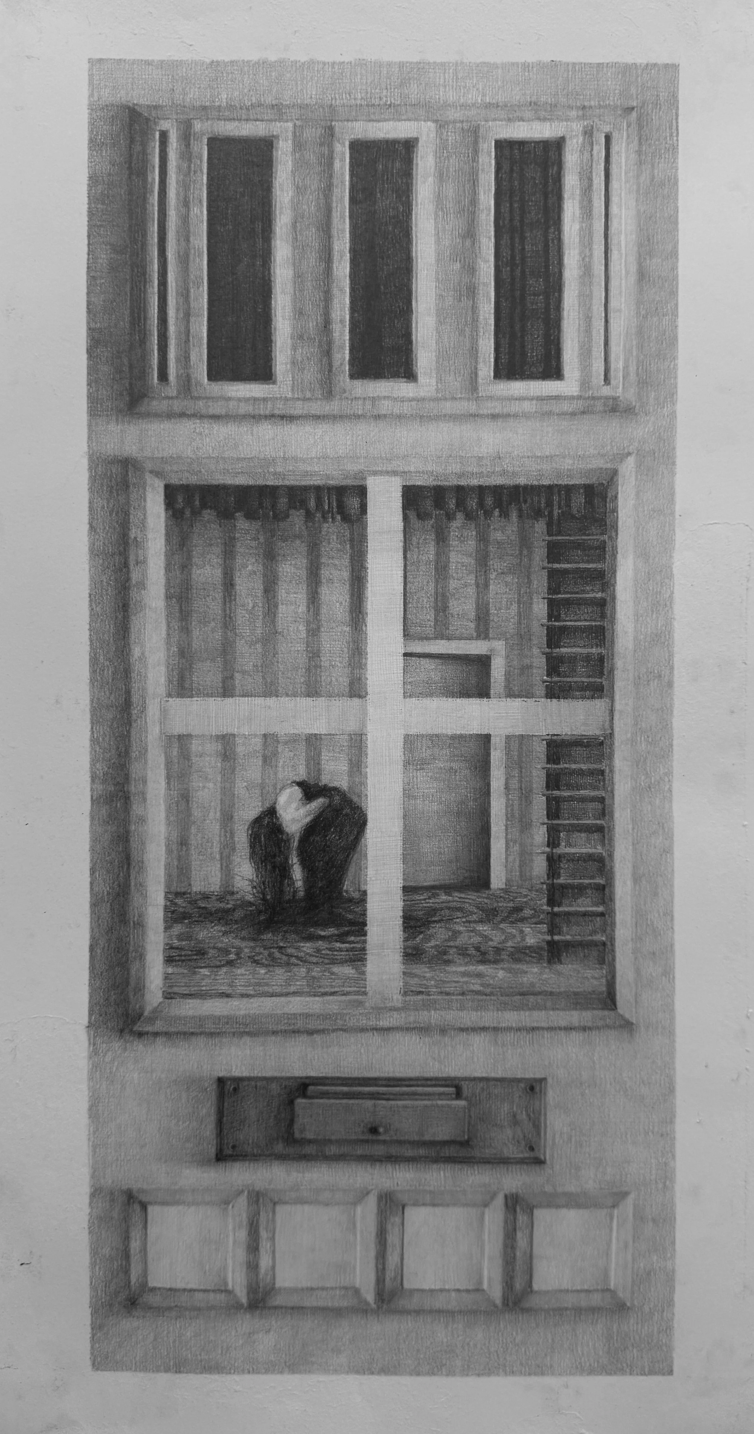 peeping (10inx20in, graphite on paper)