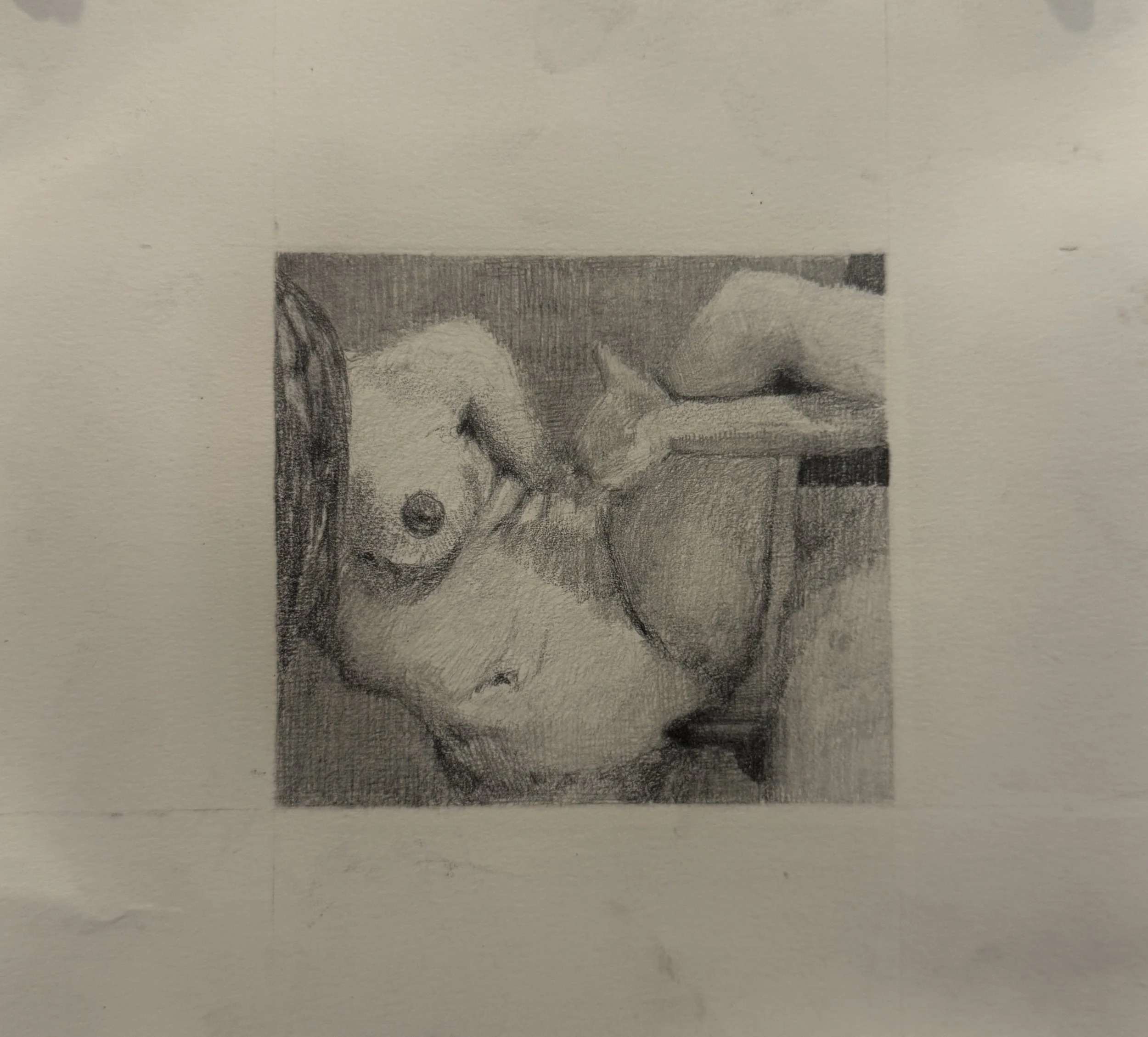 untitled sex (5inx4.75in, graphite on paper)