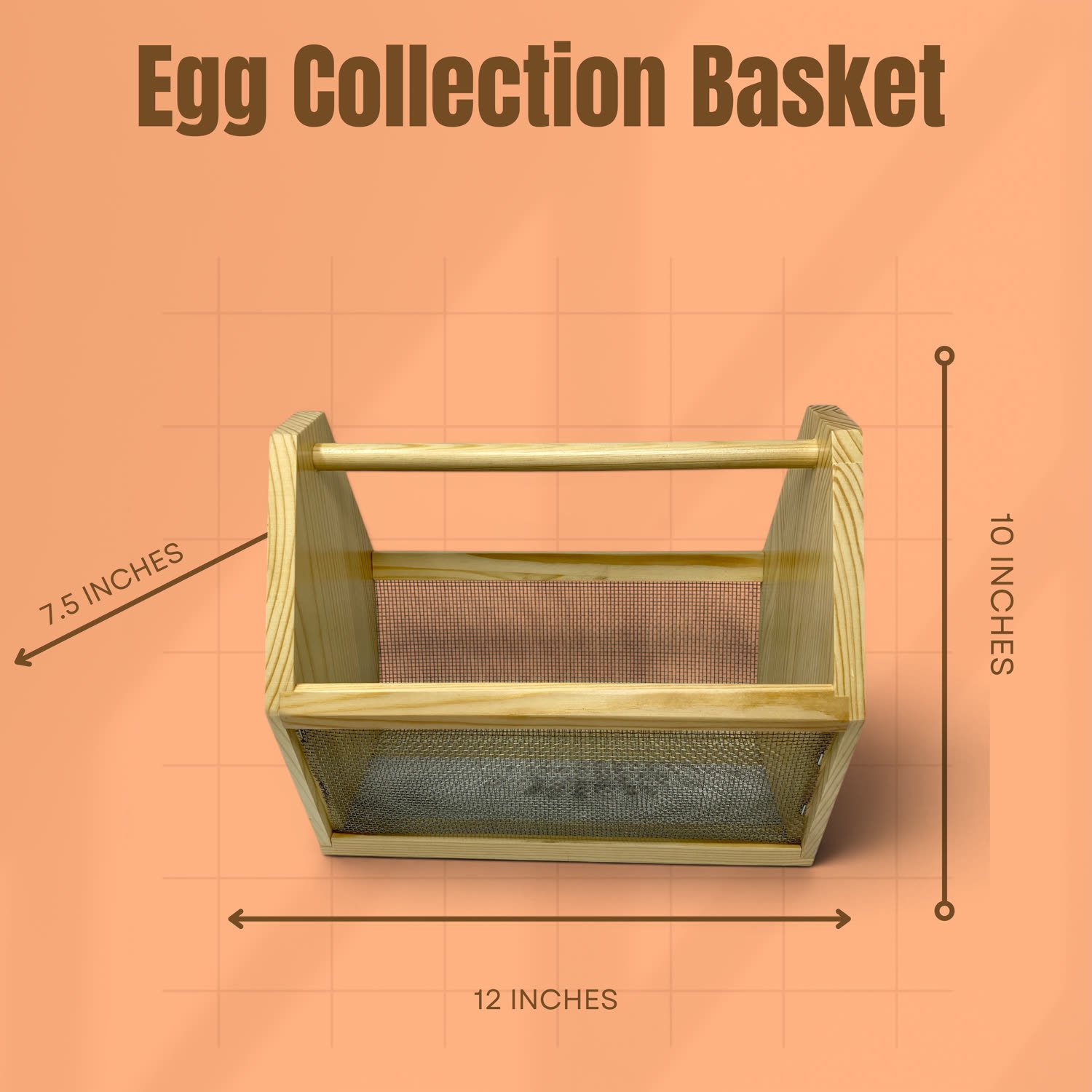 egg_dim.jpg