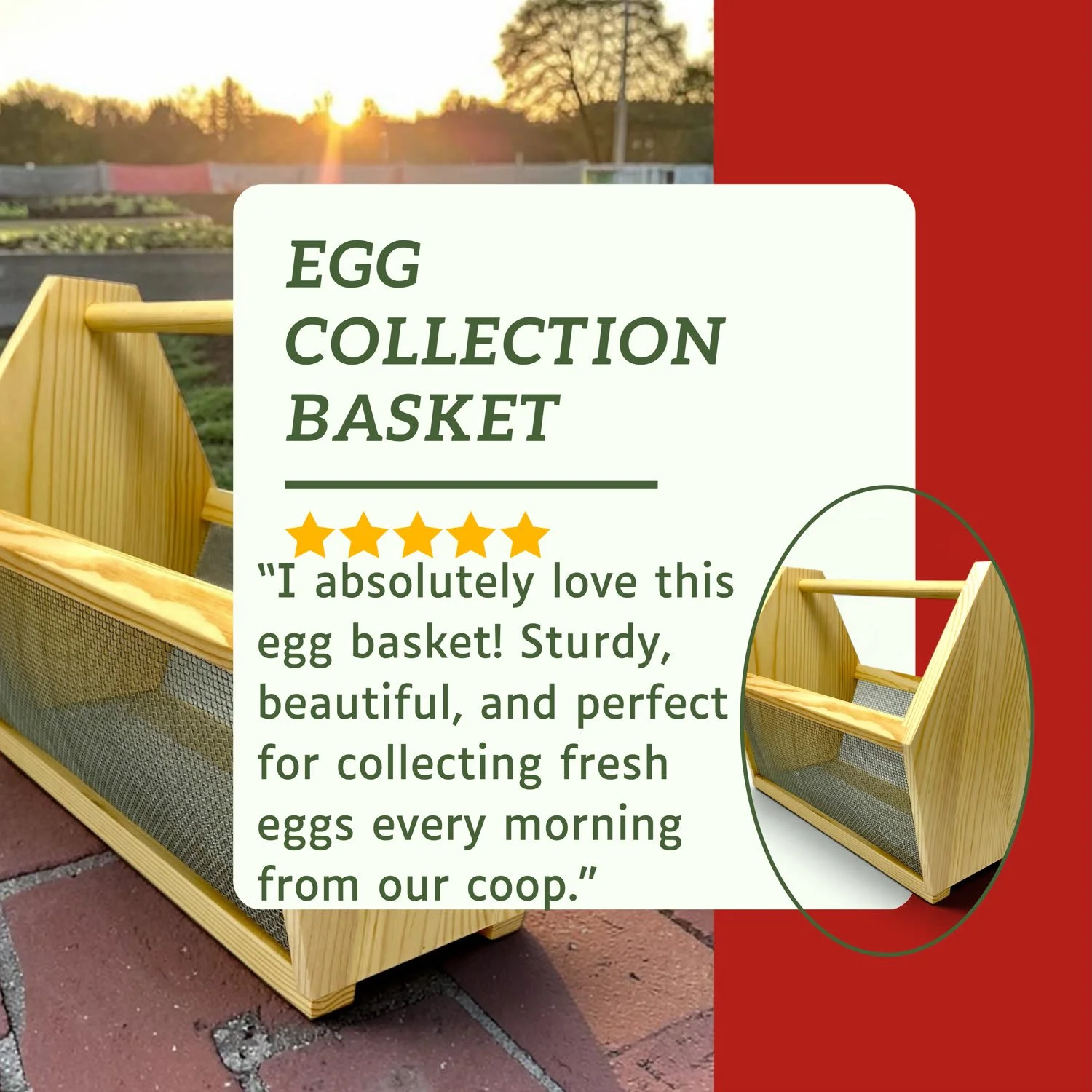 egg_review.jpg