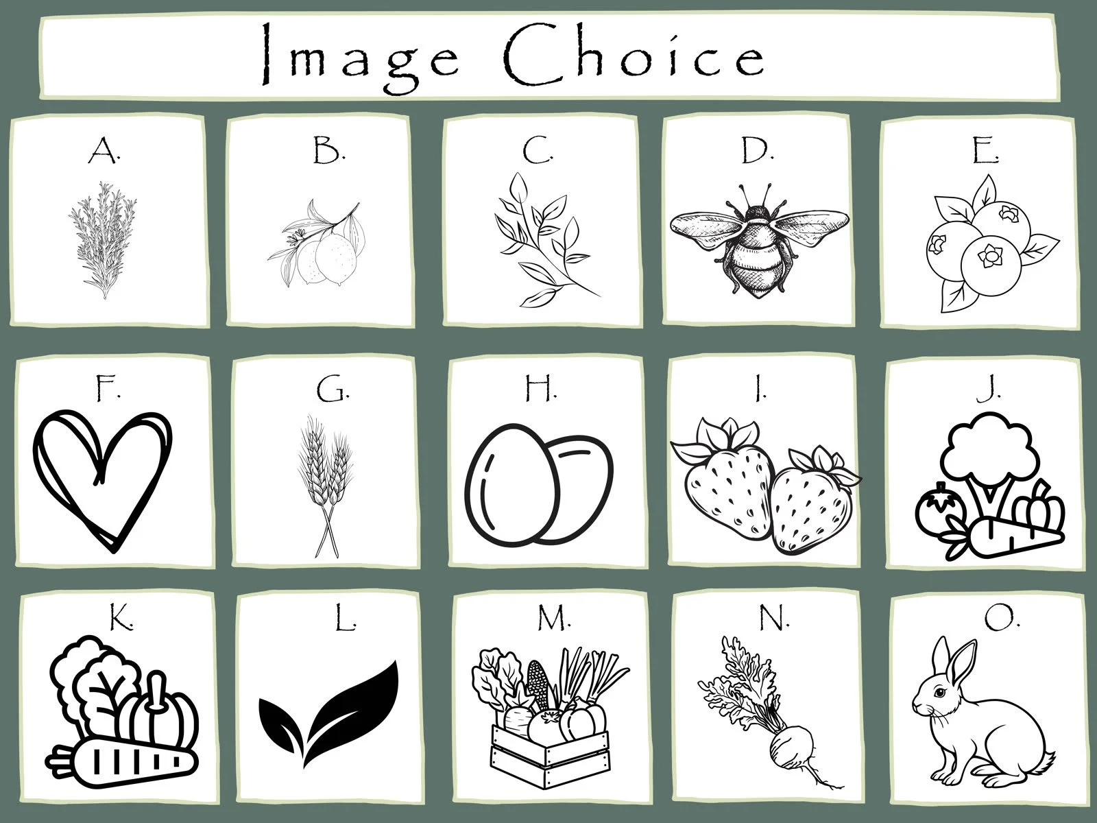 image_choices.jpg