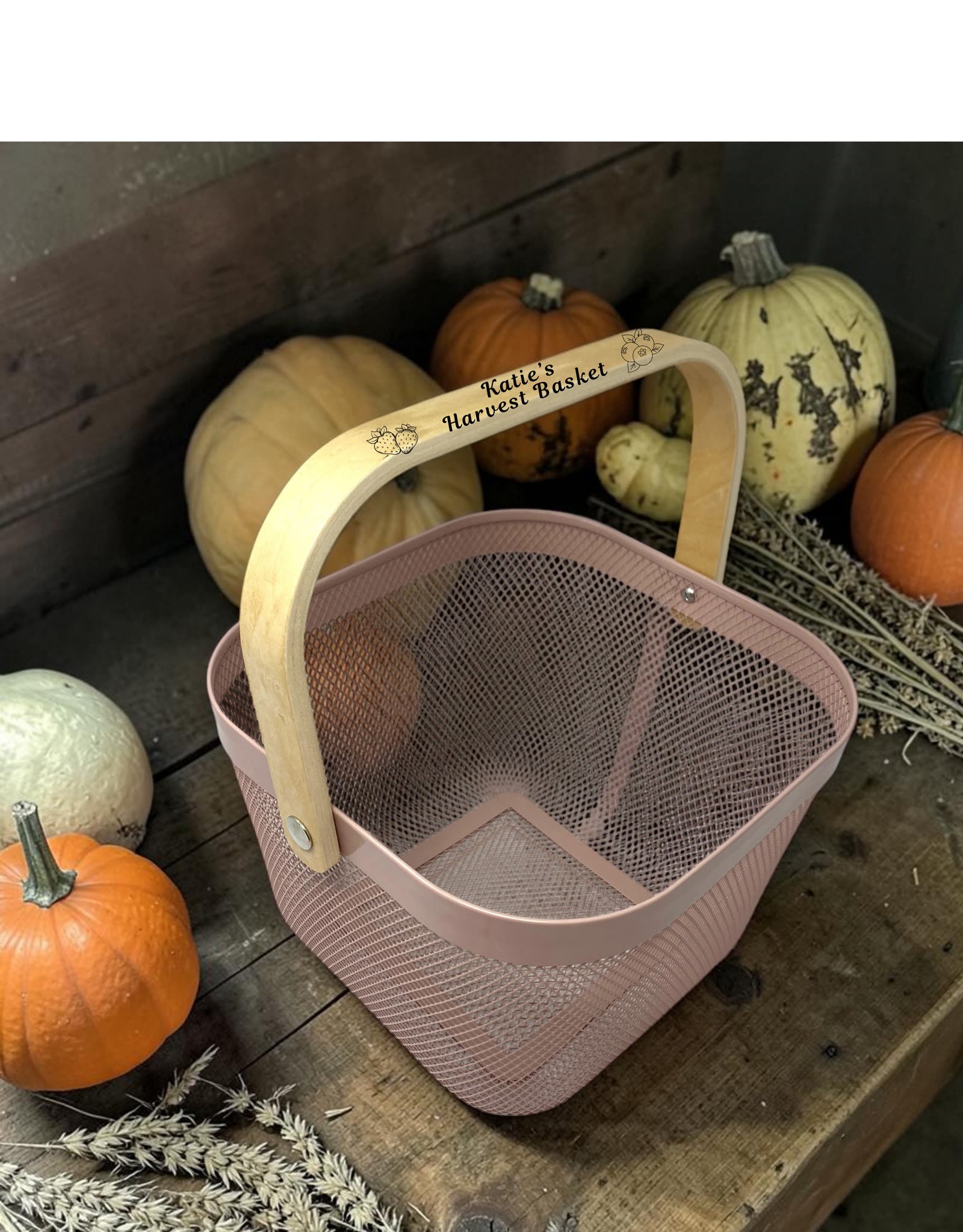 p_handle_pumpkins.jpg