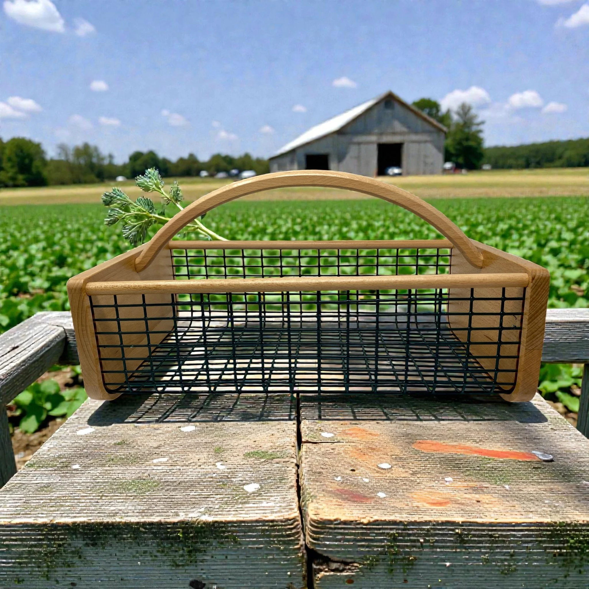 Harvest Basket — Classic