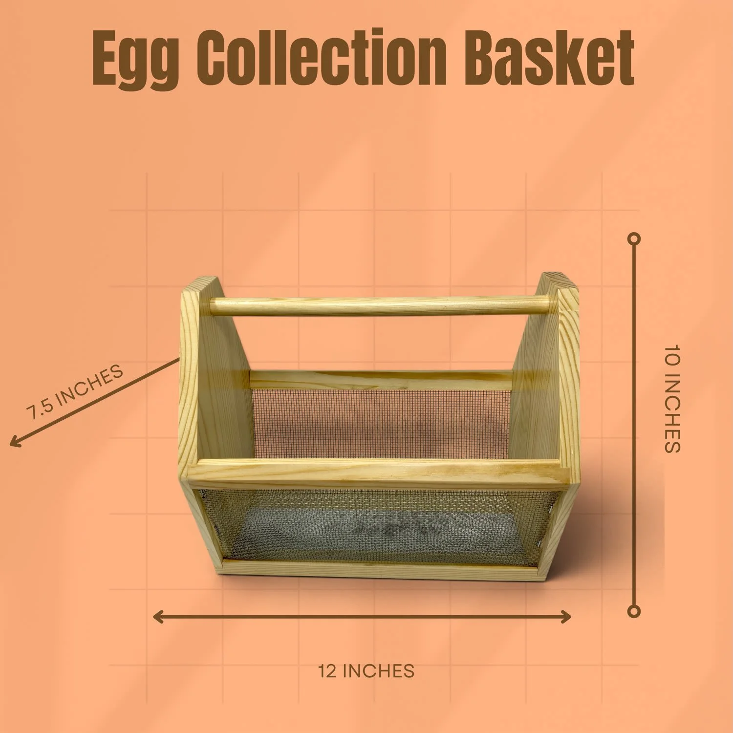 egg_dim.jpg
