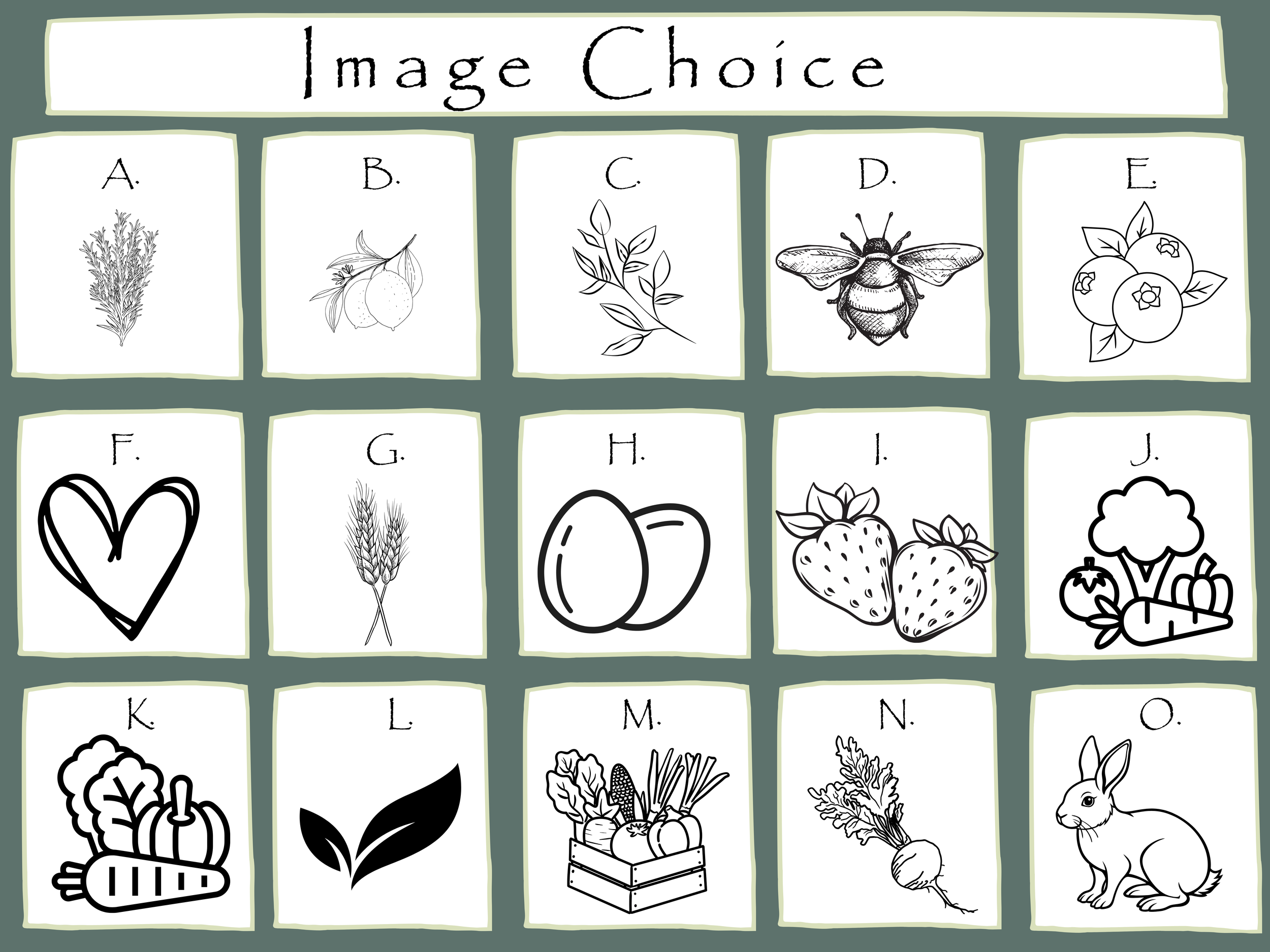 Image choice (2).png