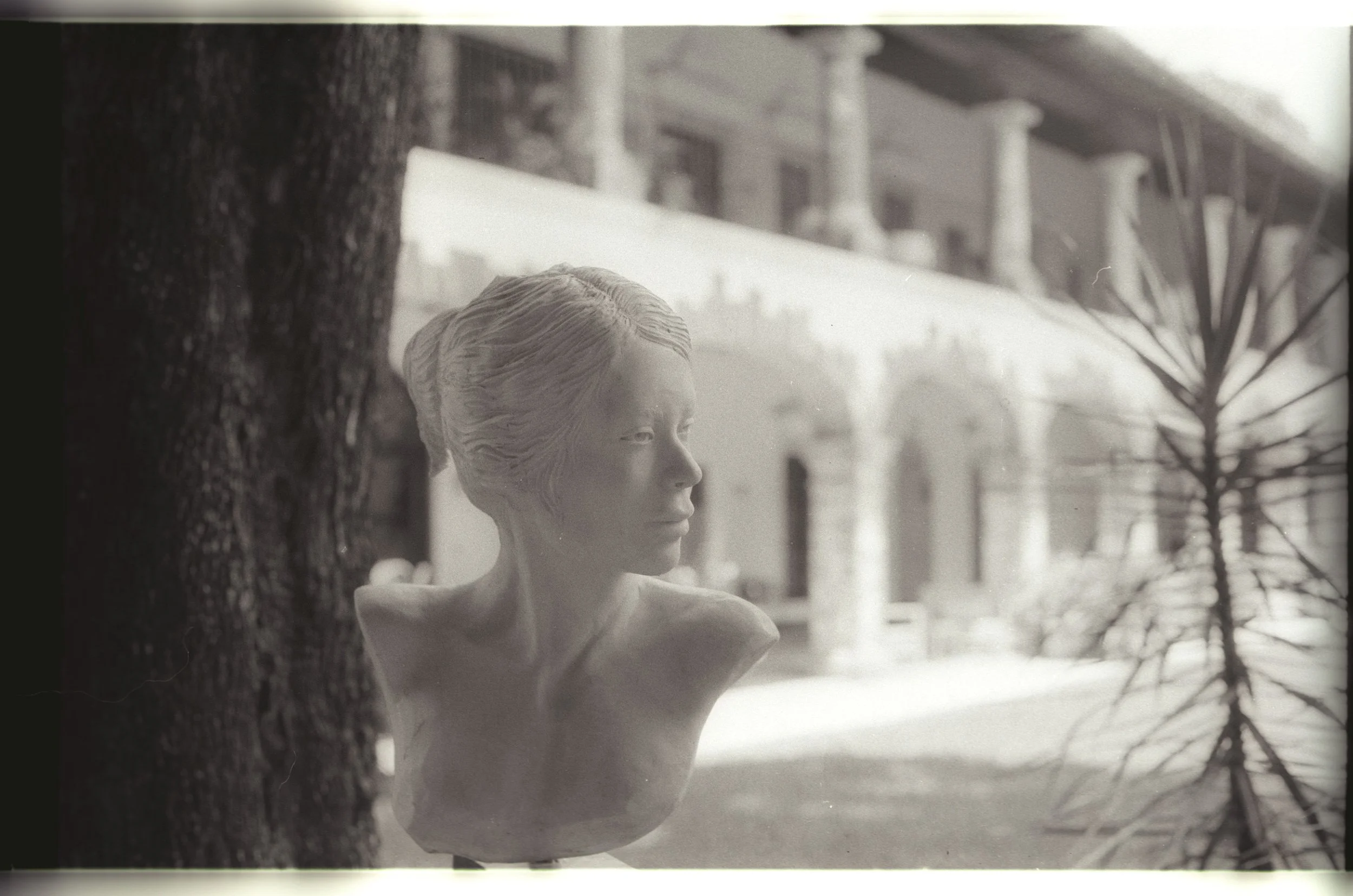 A grayscale photograph of a bust of a woman with short hair, positioned behind a tree trunk in an outdoor setting. In the background, there is a building with columns, a palm tree, and other plants.