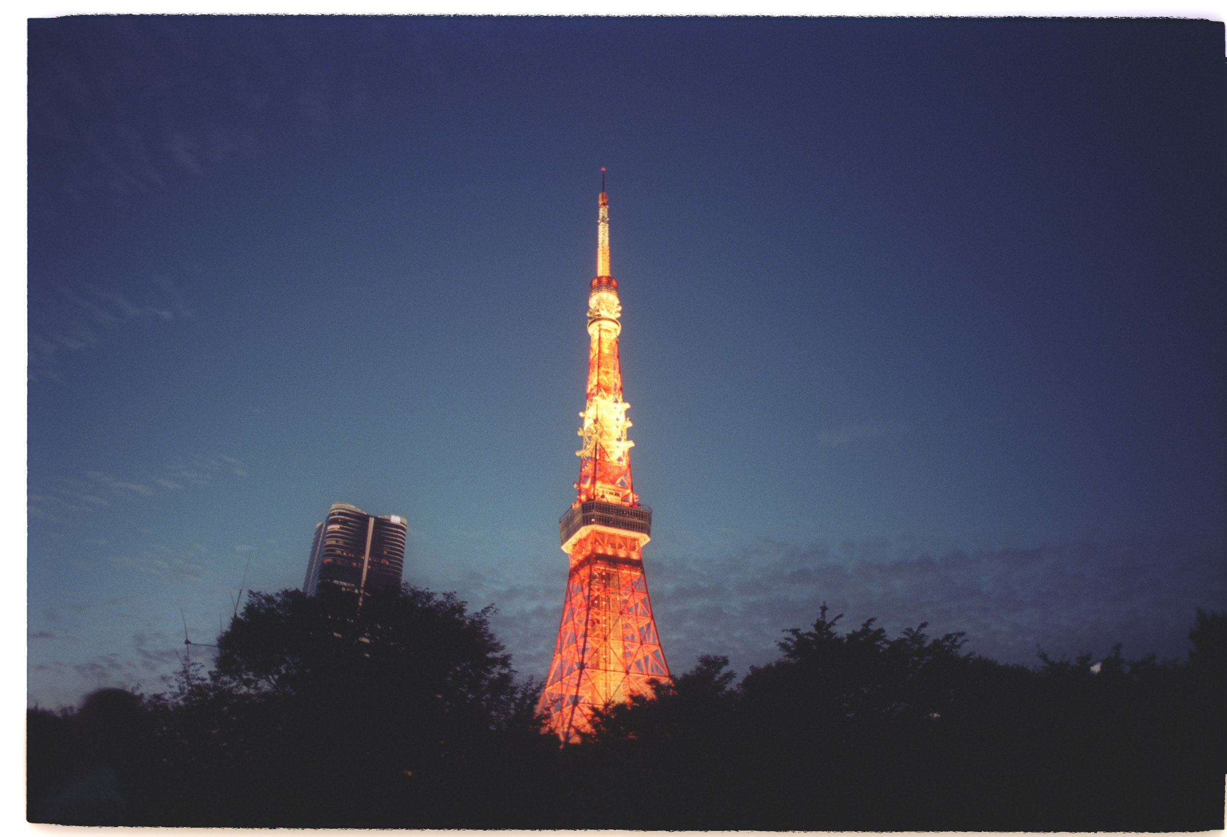 Tokyo Tower illuminated in orange at dusk with a clear blue sky, surrounding buildings, and trees at the bottom.