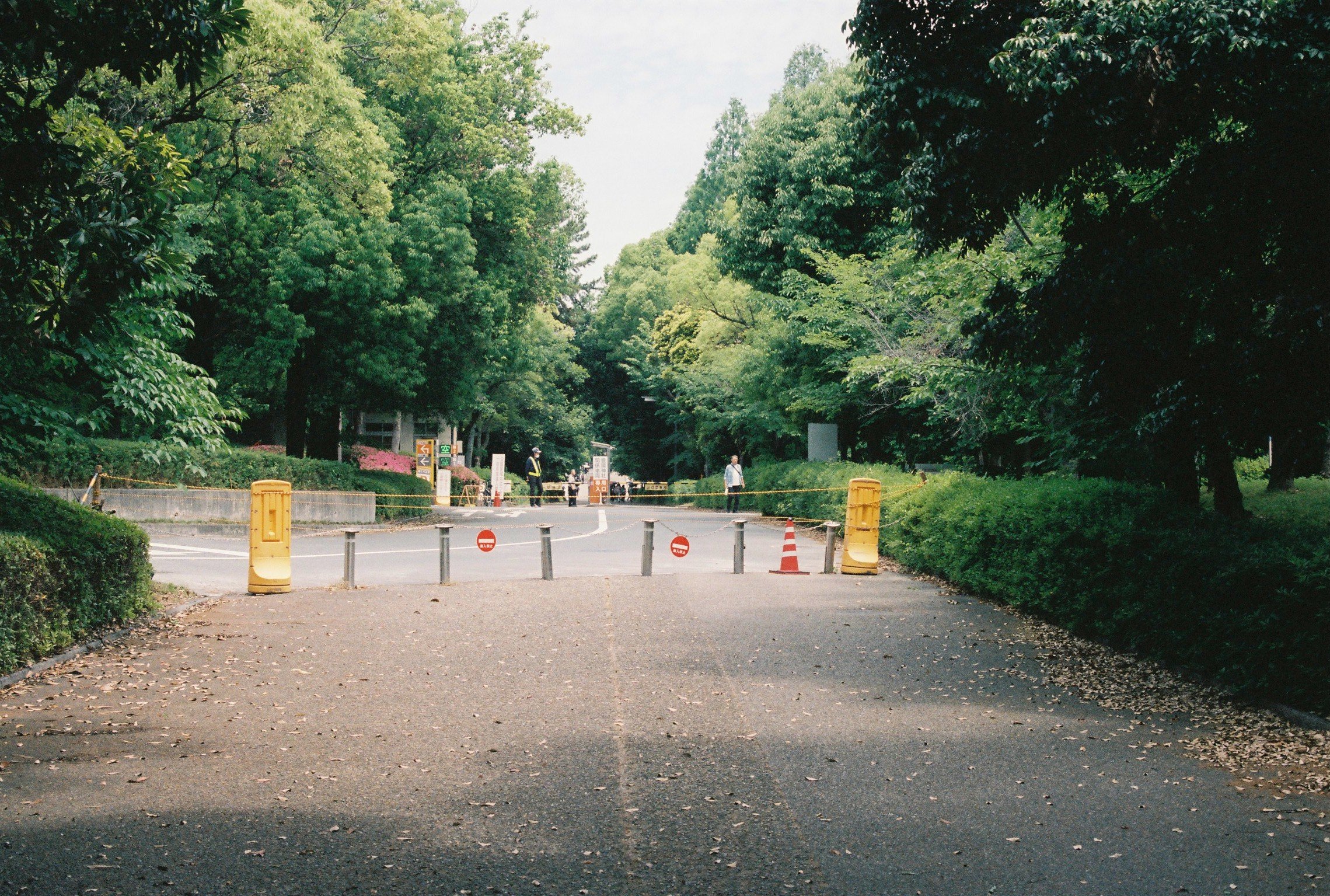 A park entrance with trees on both sides and a road blocked by orange barriers and cones, with a few people and signs in the distance.