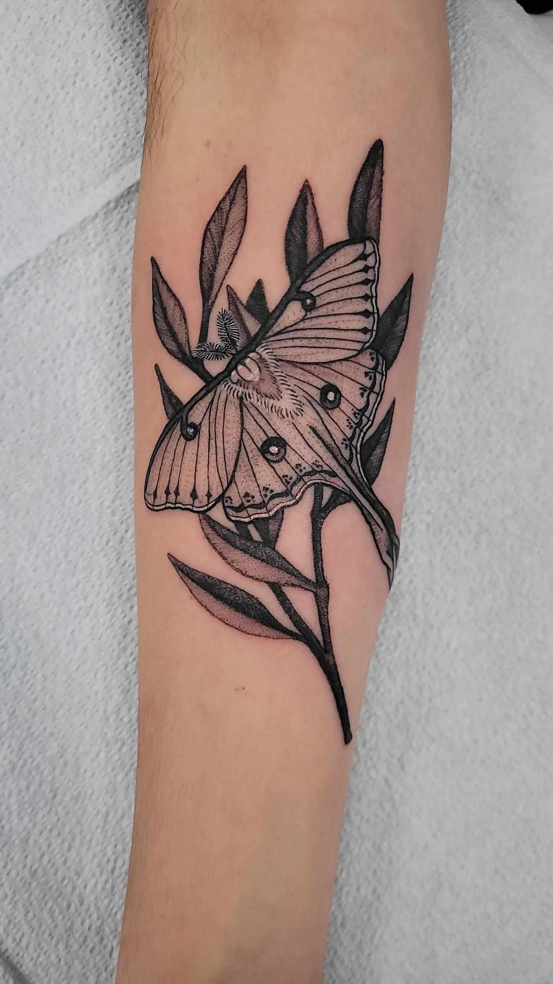 Custom