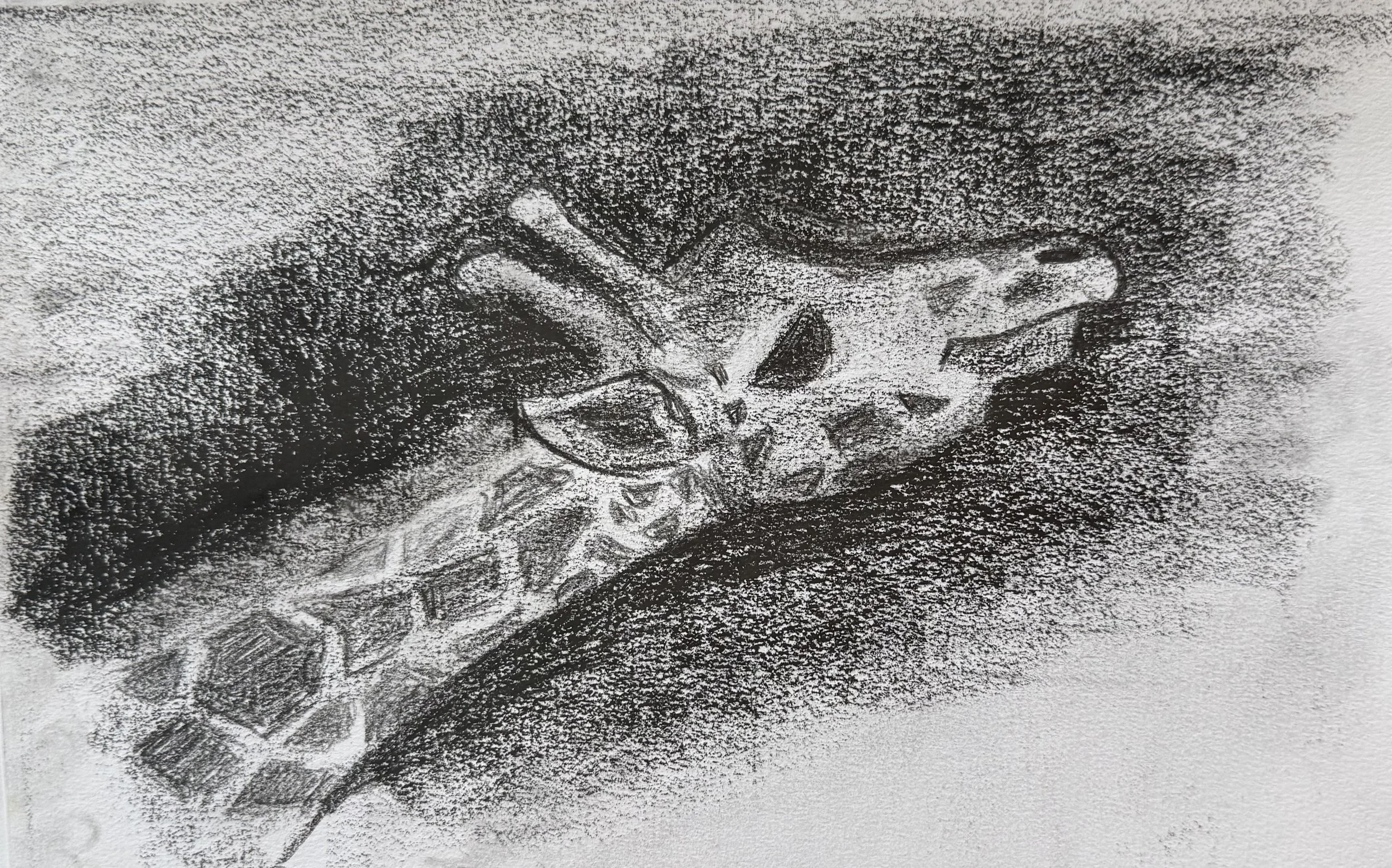 GiraffeCharcoal2.jpeg