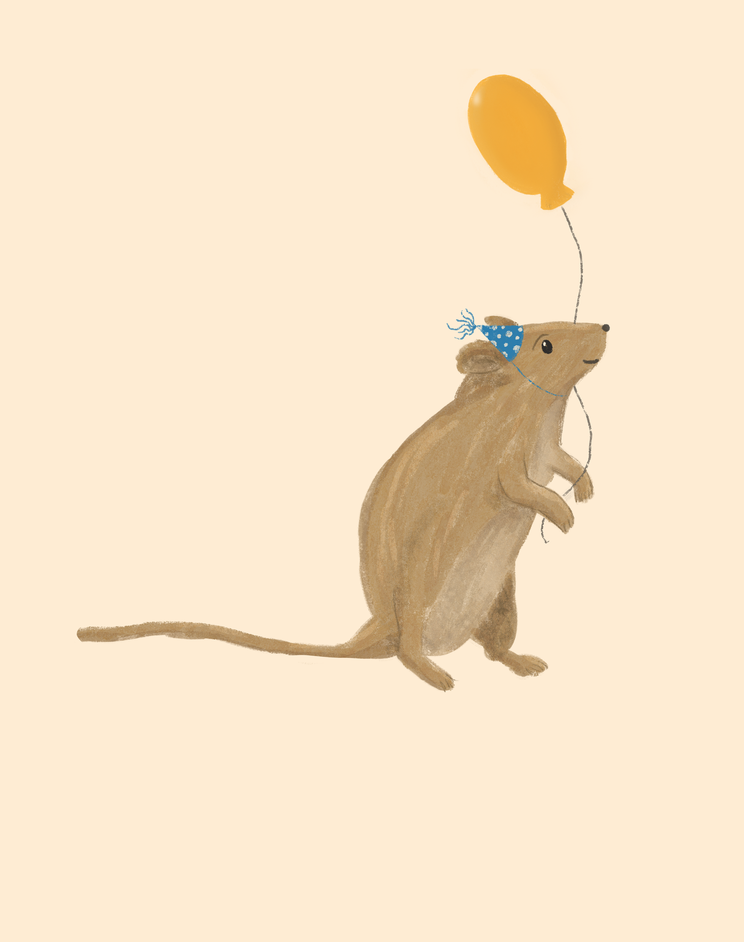 IMG_0746.png