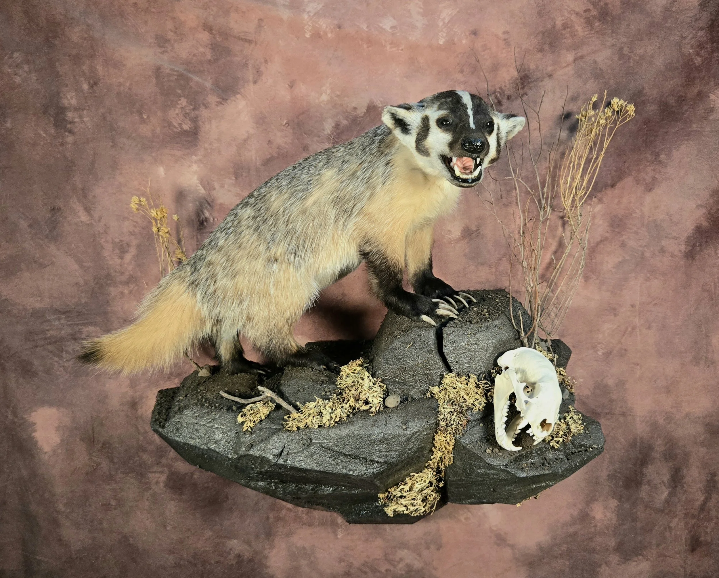 Mammals