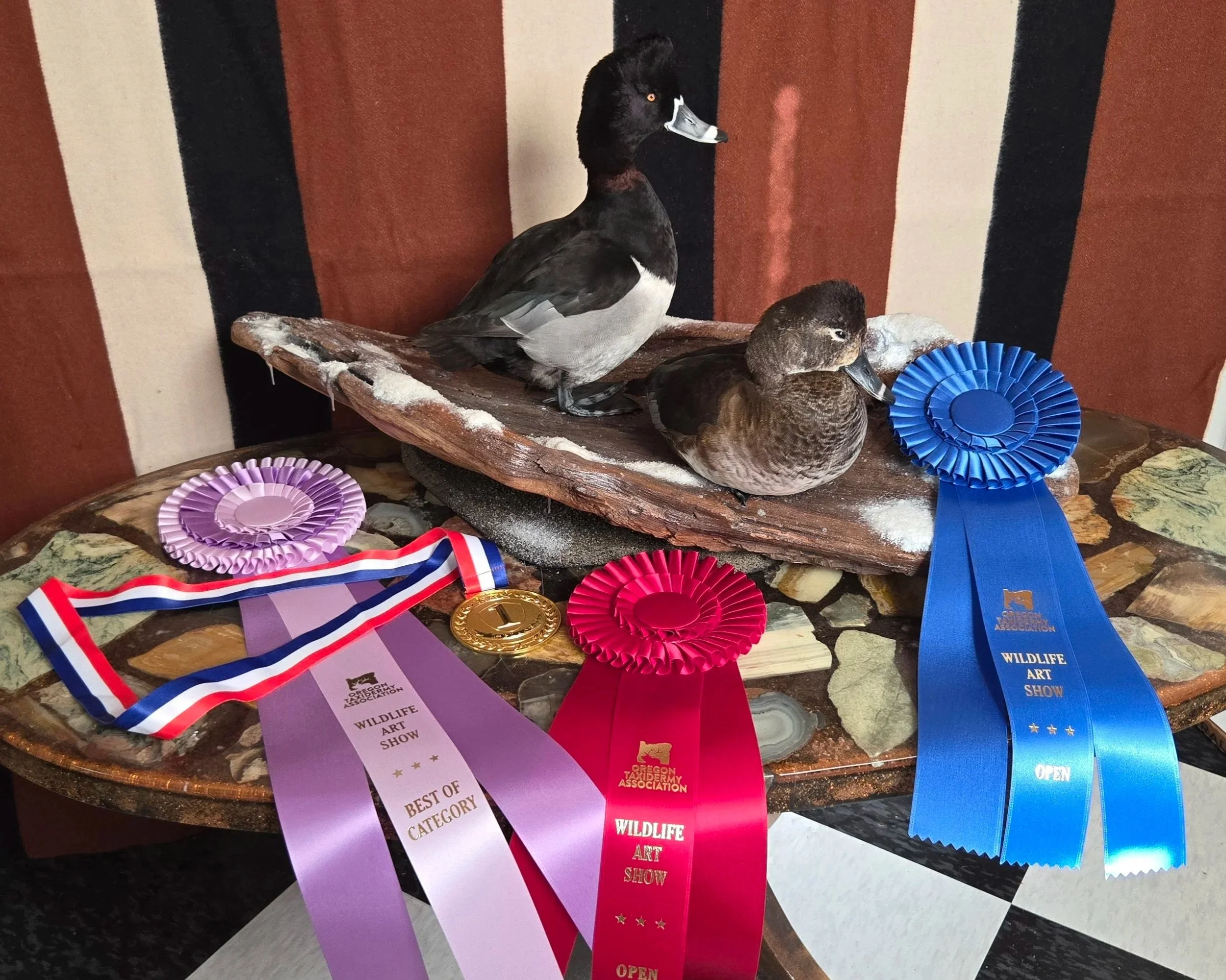 Two ducks on a wooden display with colorful ribbons and awards from a wildlife art show.