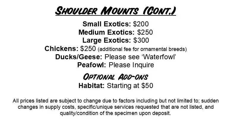 A price list for shoulder mounts of animals including small, medium, and large exotics, chickens, ducks/geese, and peafowl, with optional habitat addition starting at $50. Prices range from $200 to $300. The list notes additional fees and inquiries are needed for some animals. Small print states prices are subject to change based on various factors.