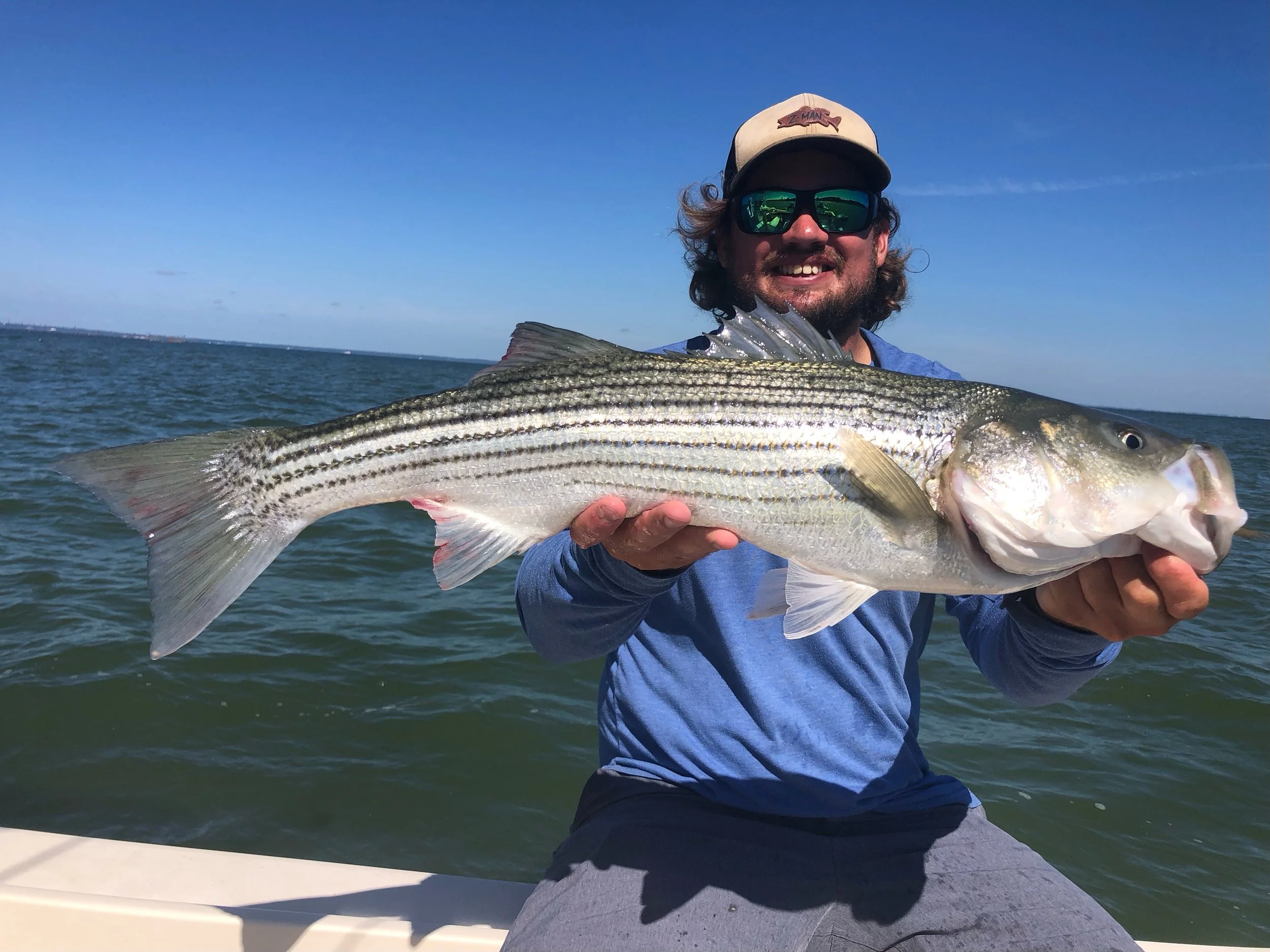 A person wearing sunglasses and a baseball cap holding a large striped bass fish on a boat with water in the background.
