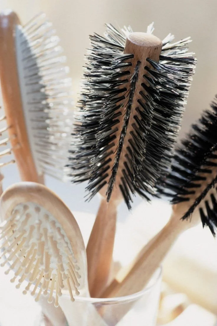 Close-up of various scrub brushes with wooden handles, including black, white, and beige bristle types in a container.