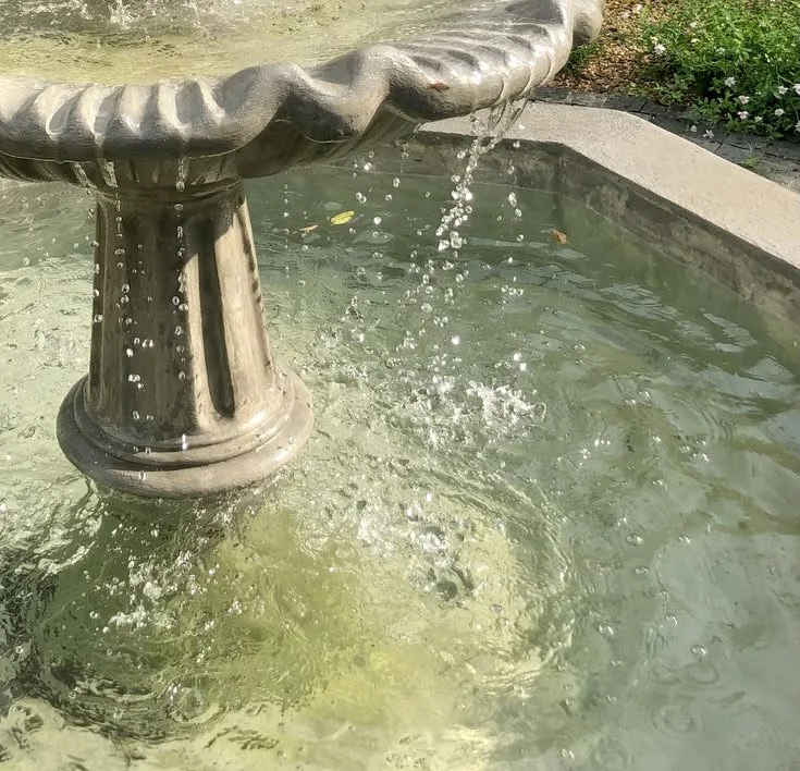 Close-up of a stone fountain with water flowing from the top into a basin, in an outdoor setting.