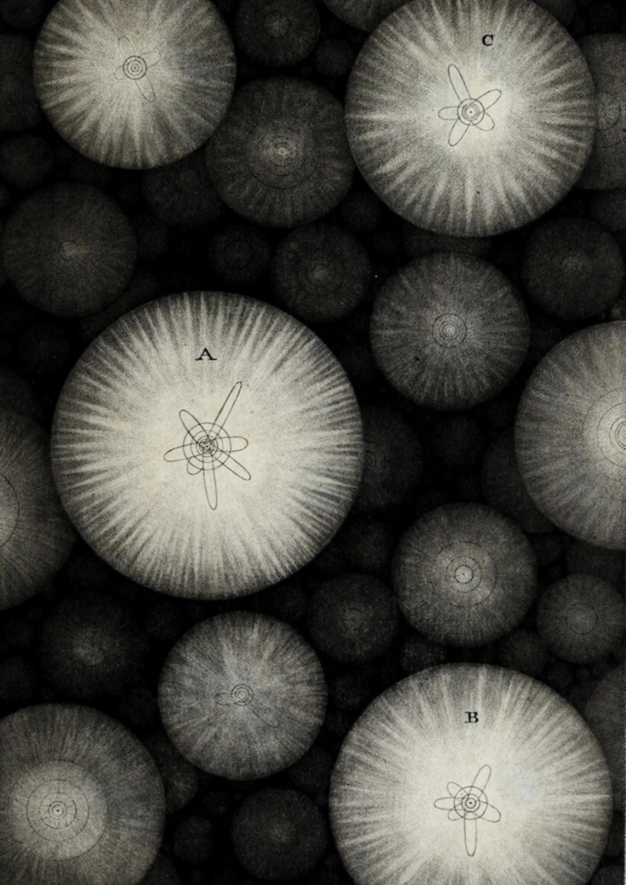 Close-up view of numerous spherical rocks, some with atomic symbol drawings on them, arranged closely together.