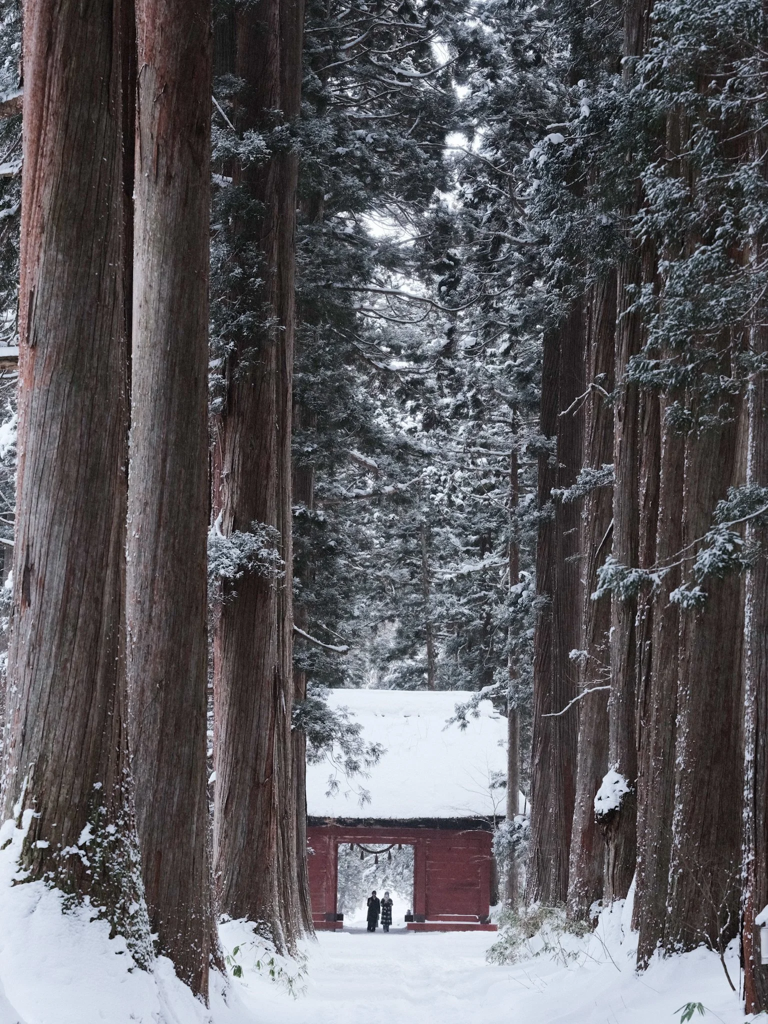 2024_01_10_Nagano-5.JPG