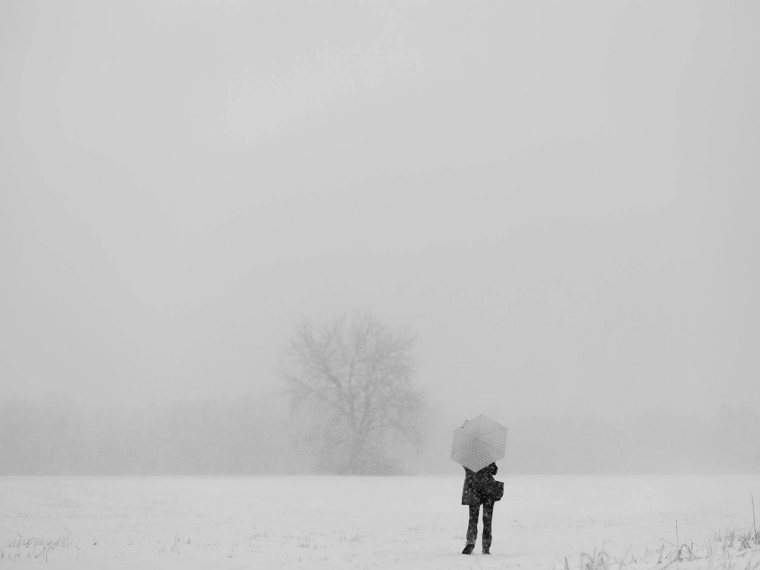 Blizzard