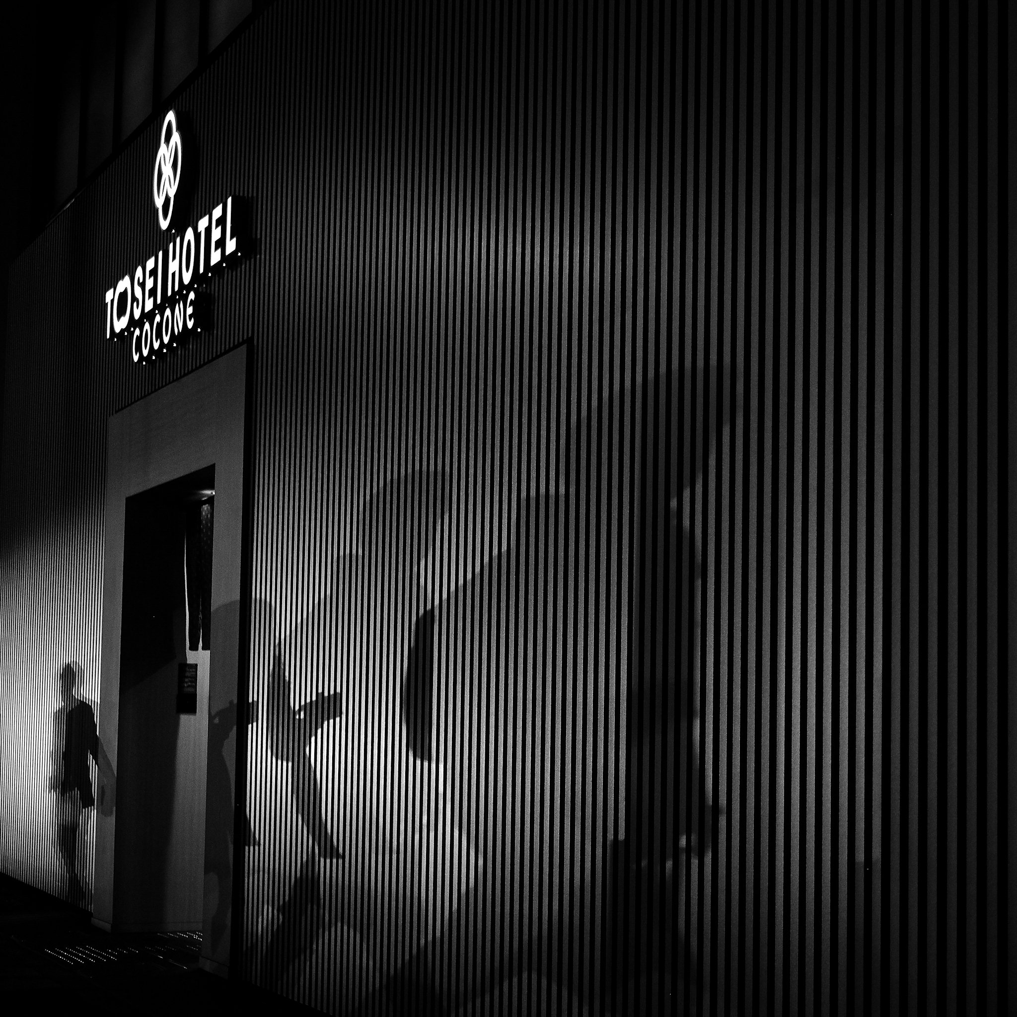 Anonymous Shadows