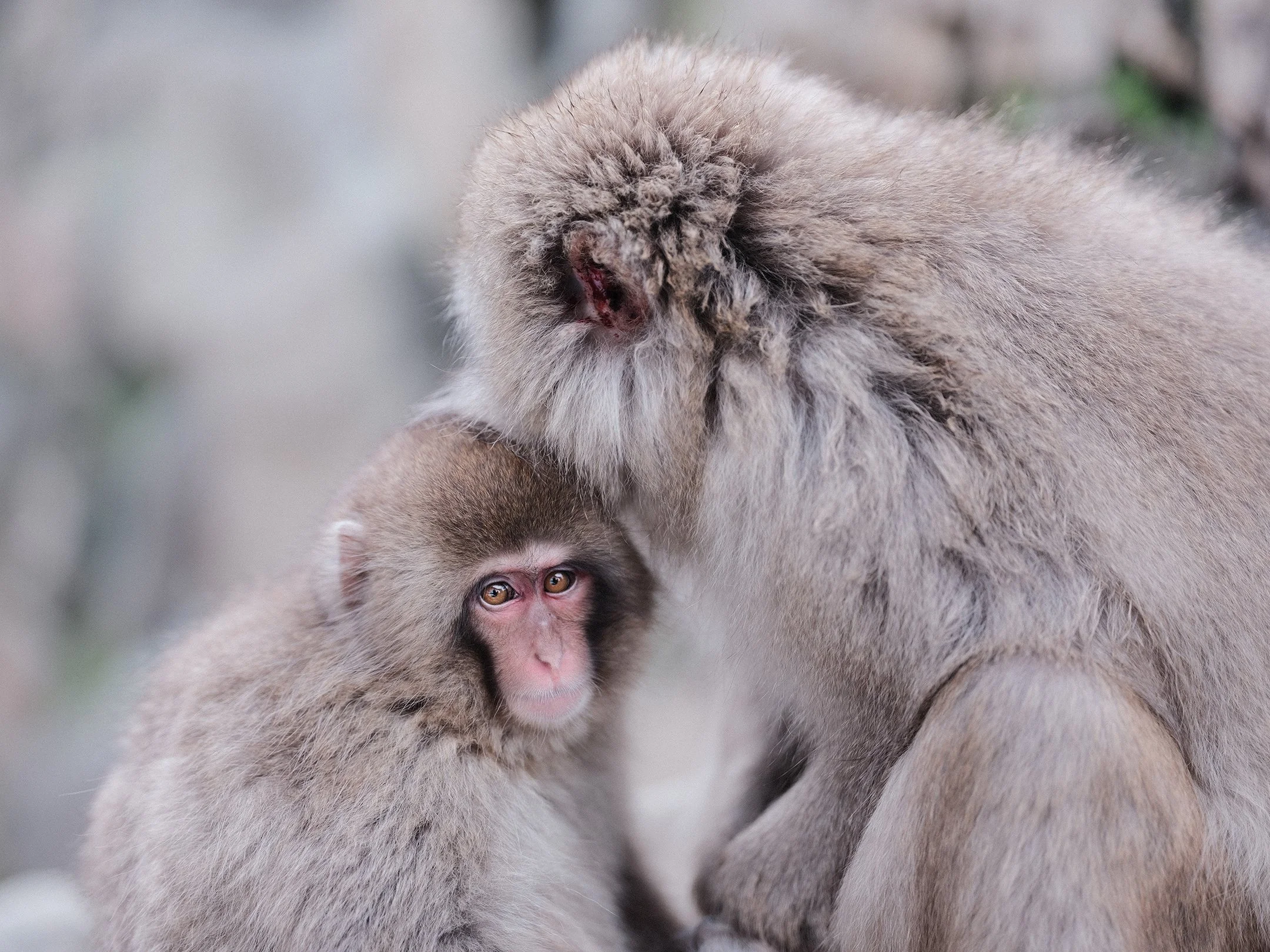Mother and Child
