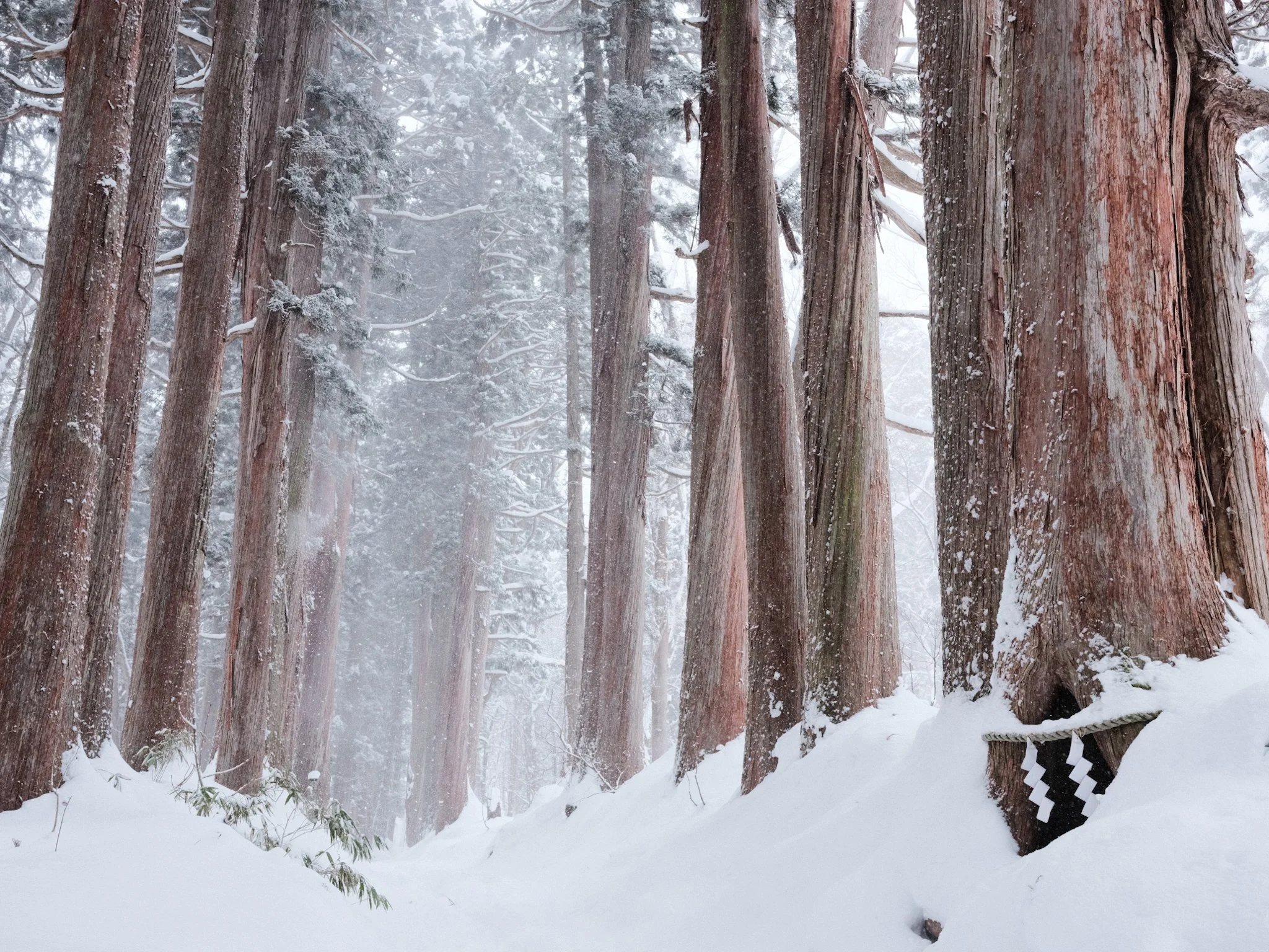 2024_01_10_Nagano-4.JPG