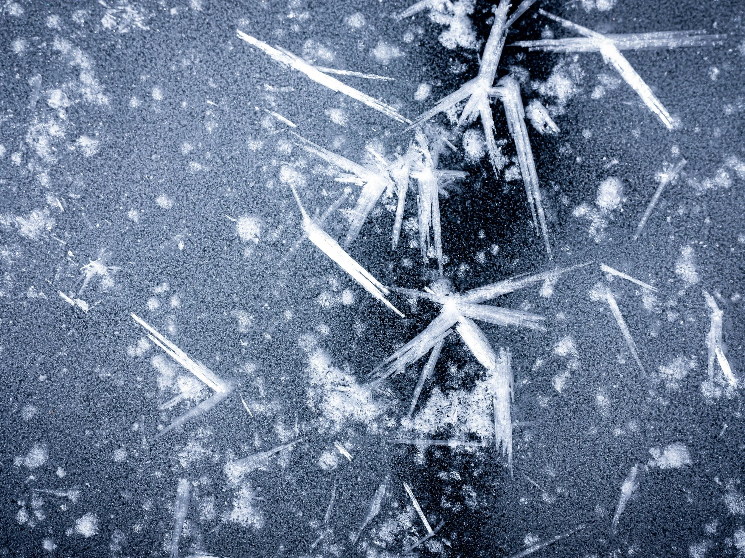 Frost Scene