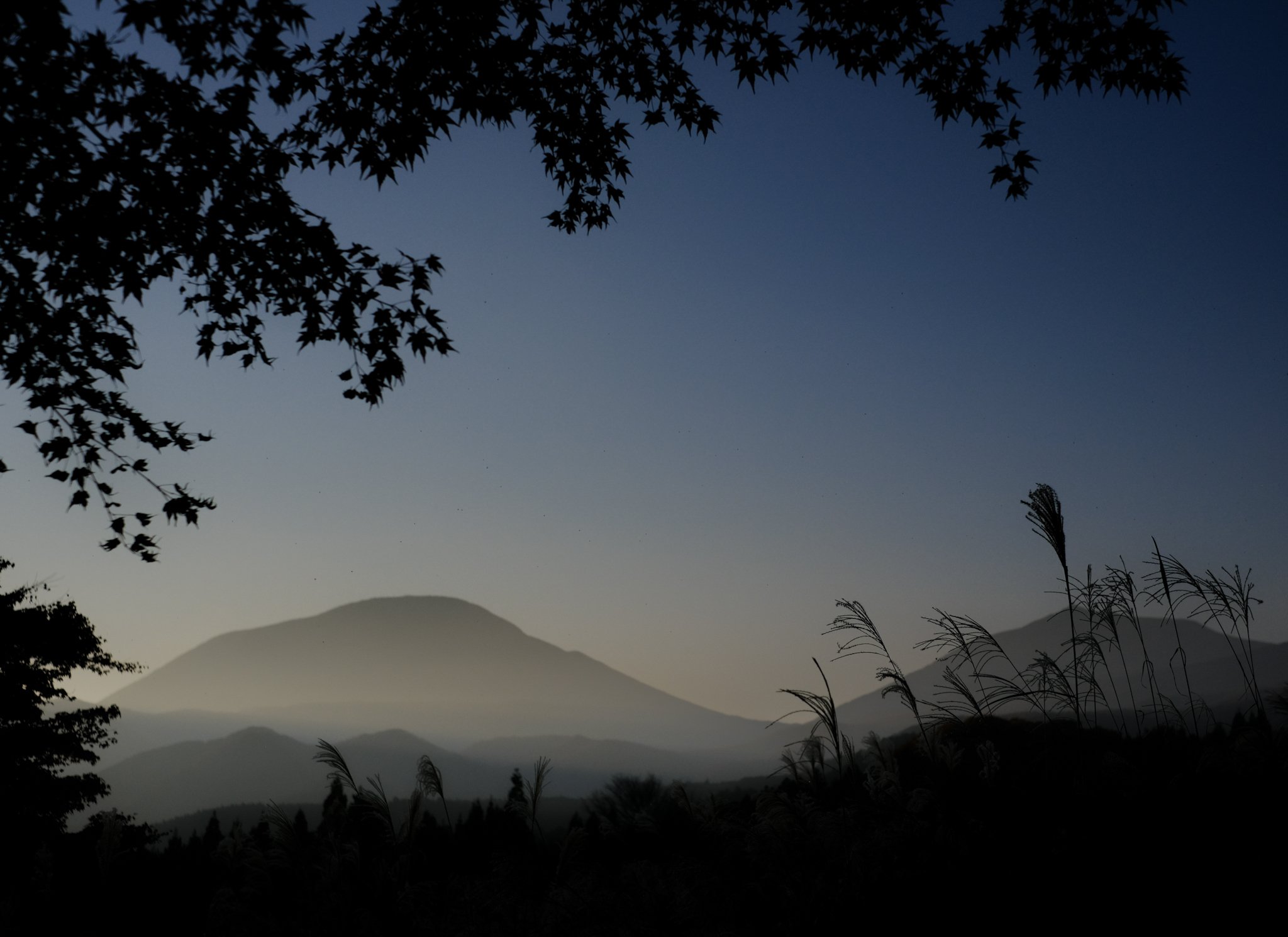 TeaOfPhotography-82.jpg