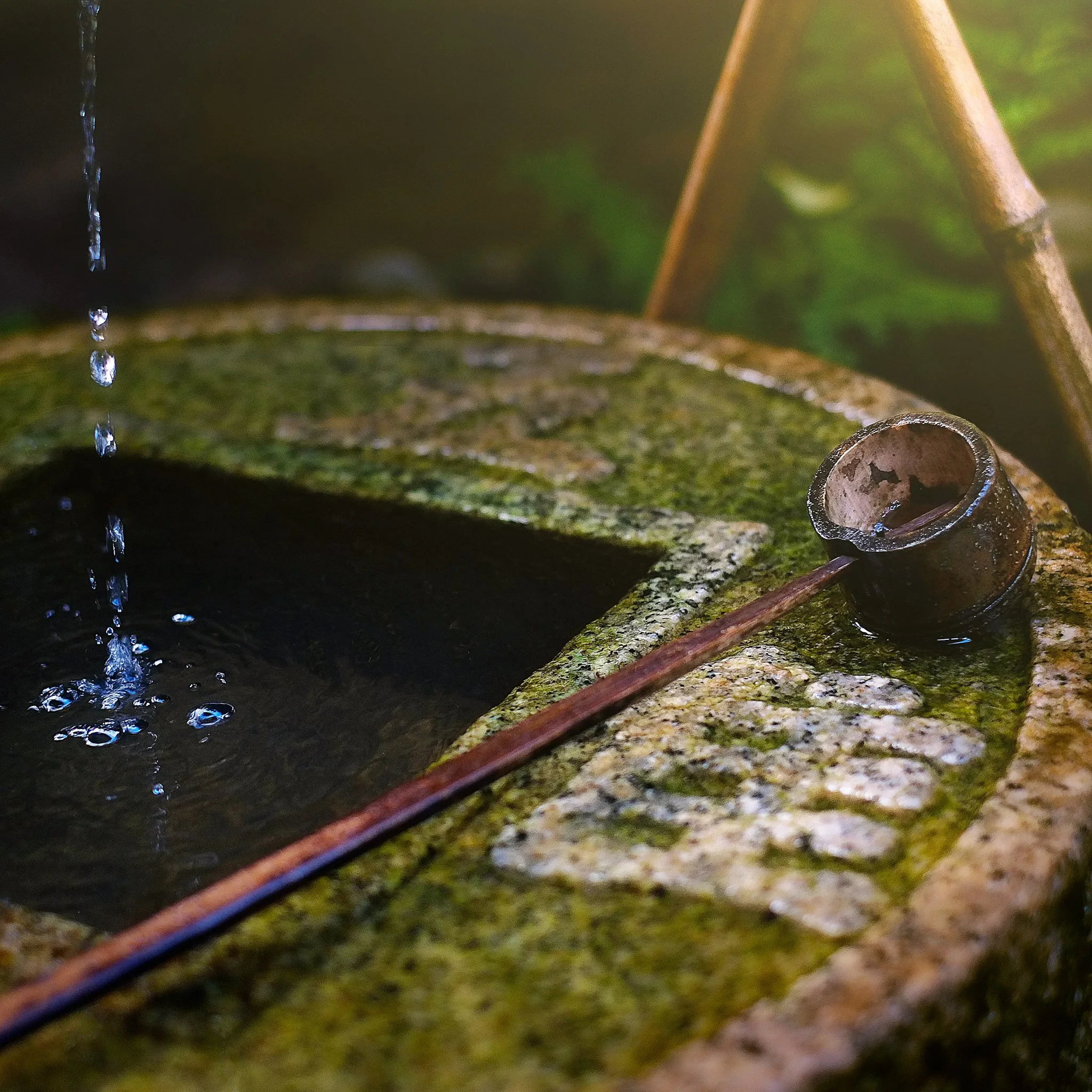 TeaOfPhotography-97.jpg