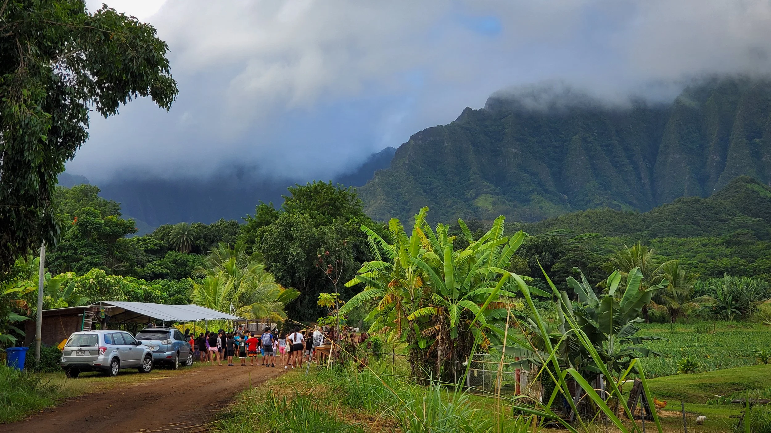 He‘eia Fishponds Photo Series